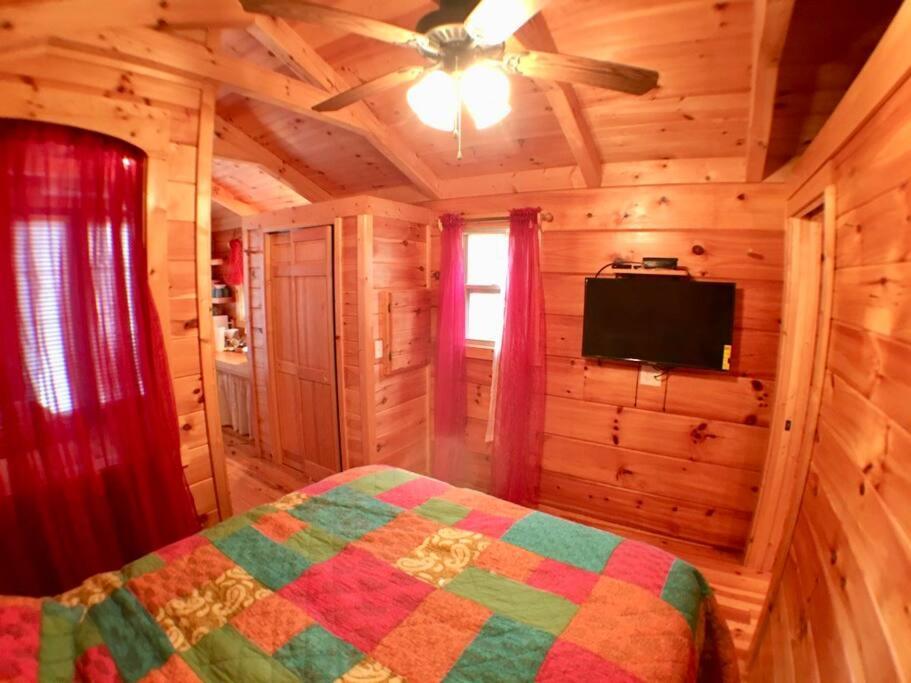 Gypsy Cottage Near the Smokies #15 Queenie view 4