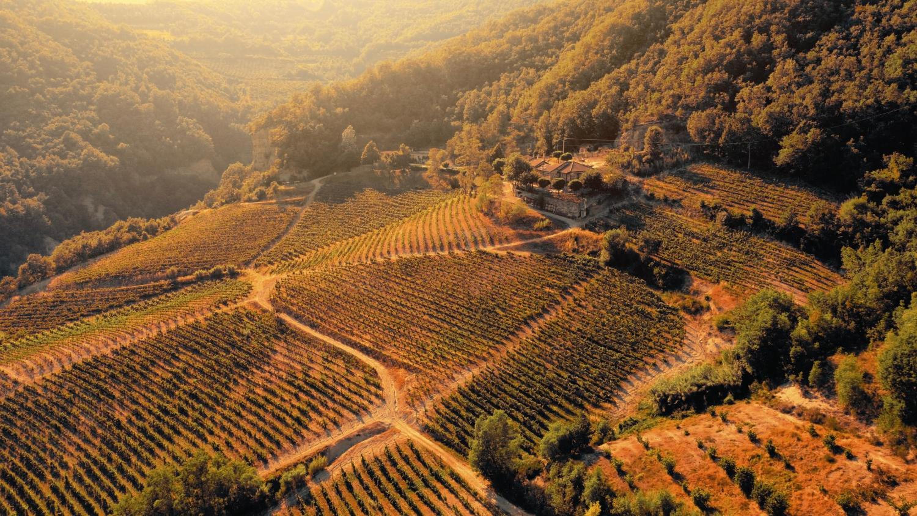 Cascina Bertolotto Wine Resort