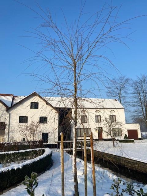 Vakantiewoning Wurfeldermolen