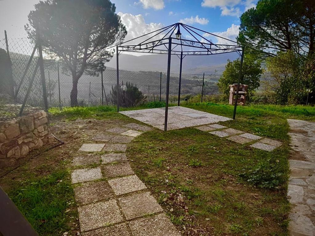 Il Glicine