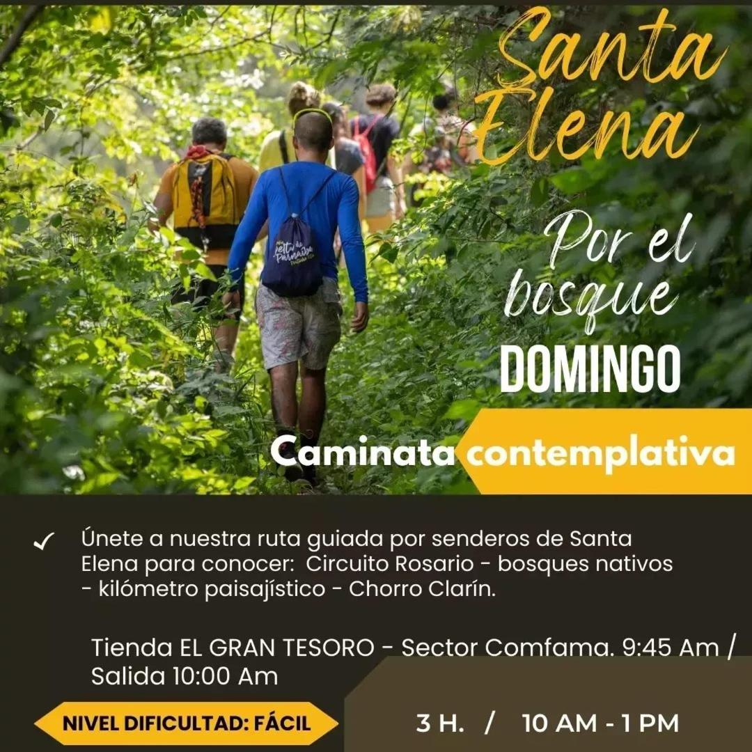 Hermosa cabaña con huerta - Casa verde