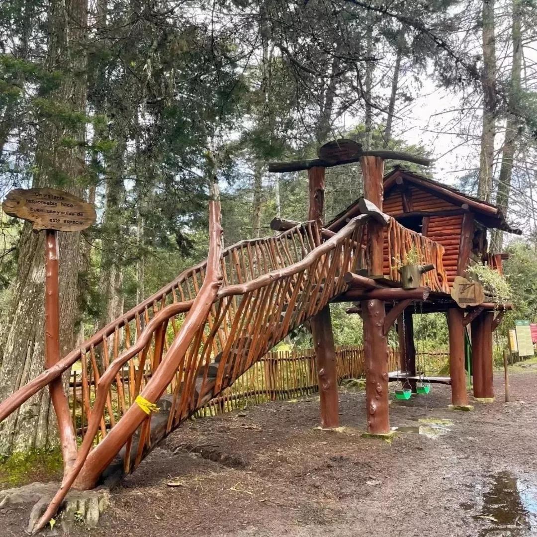 Hermosa cabaña con huerta - Casa verde