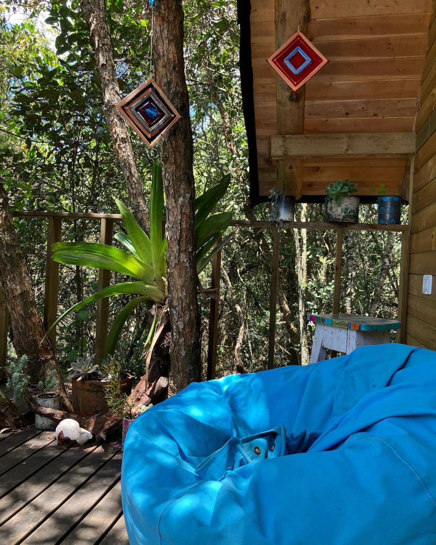 Hermosa cabaña con huerta - Casa verde