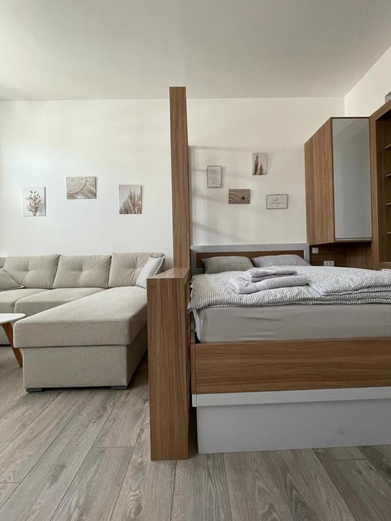 Apartments Studio Center