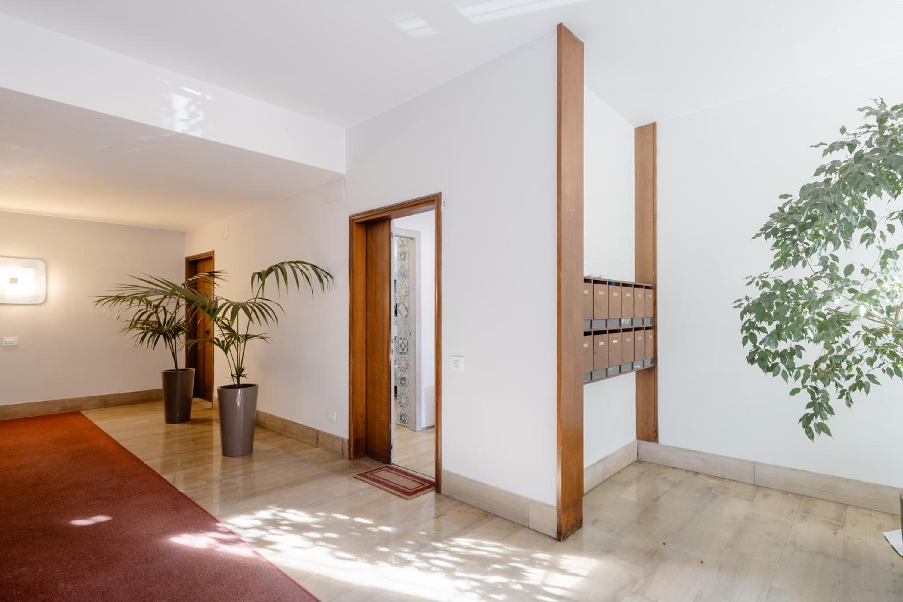 Open the Classic Wooden Shutters at a Cozy City Nest