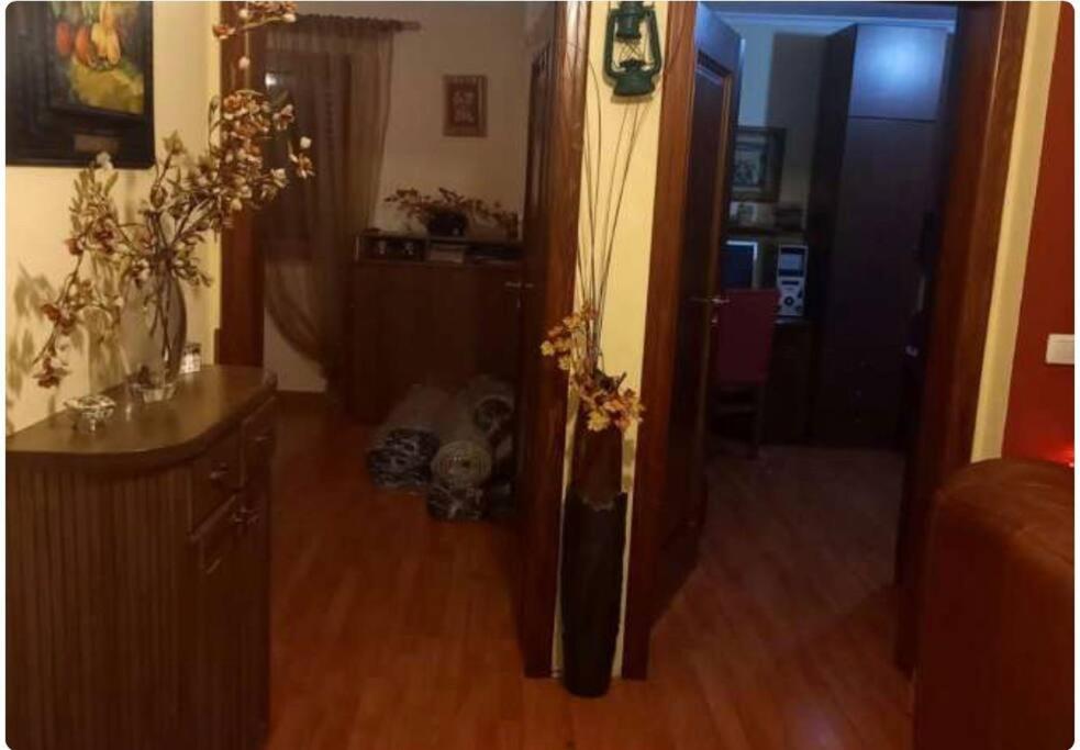 City center Apartment New Bazaar photo 3