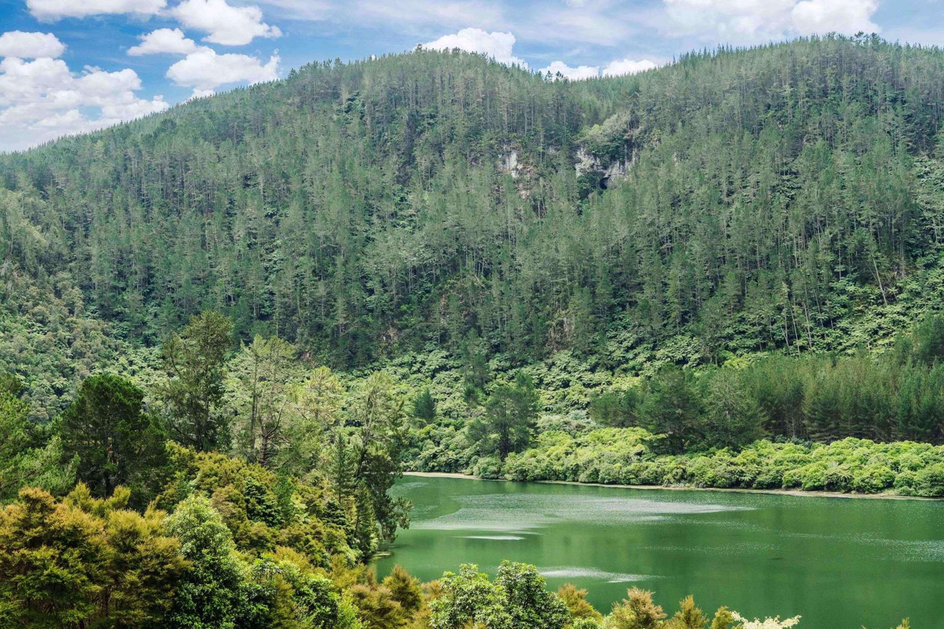 Lakeview Oasis - Lake Whakamaru Retreat