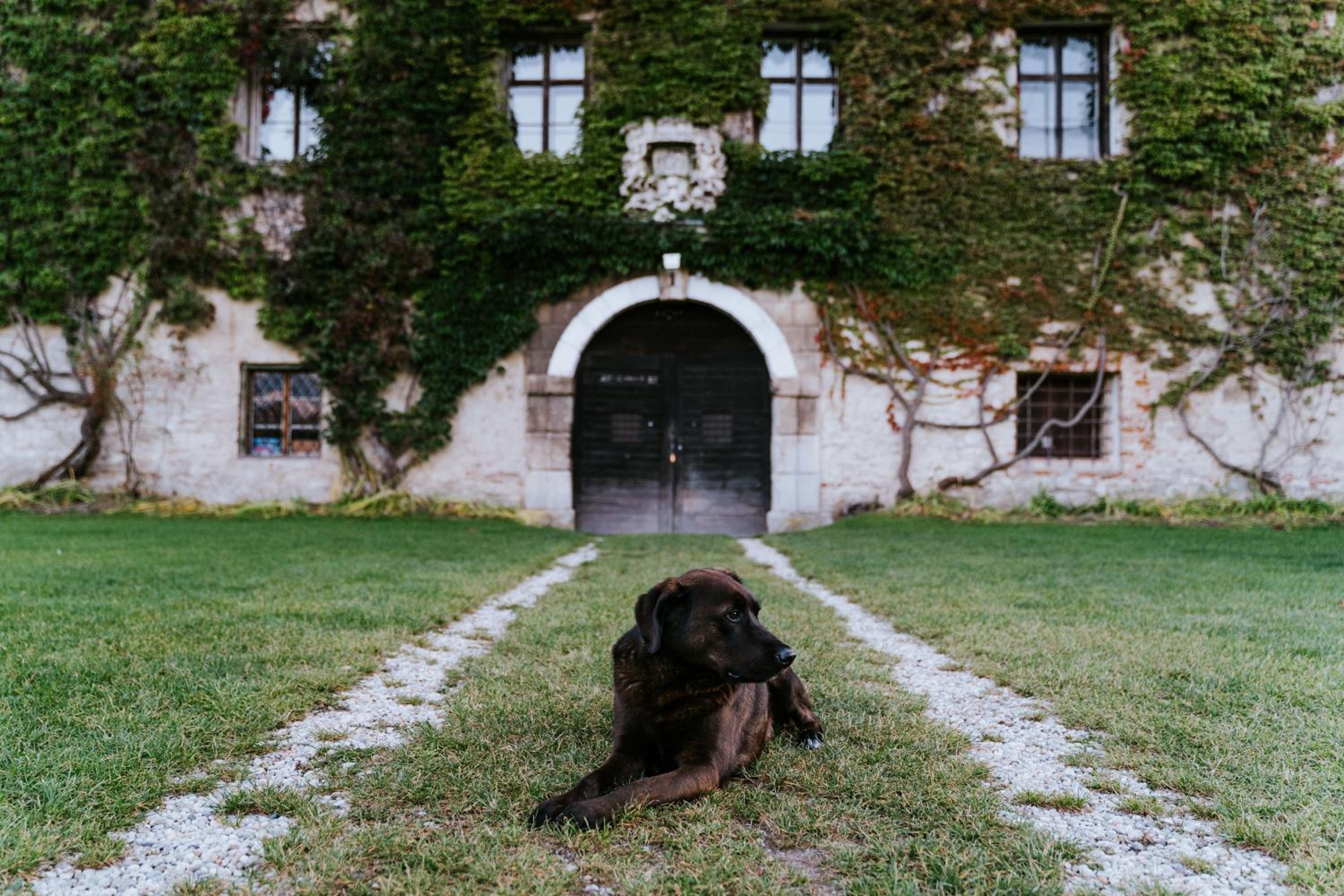 Sanctum Schloss Haggenberg