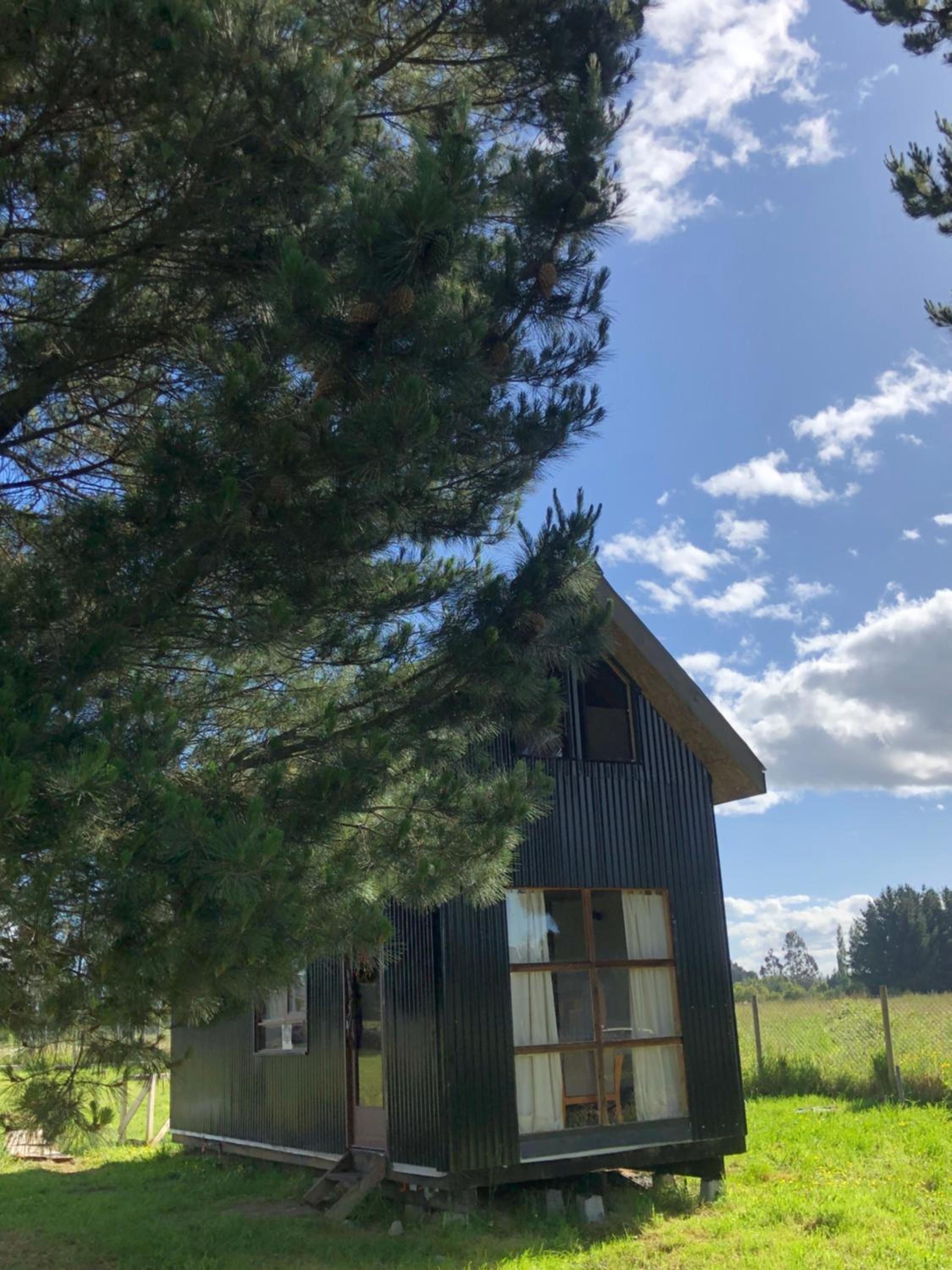 Tiny House, Tiny Black Frutillar