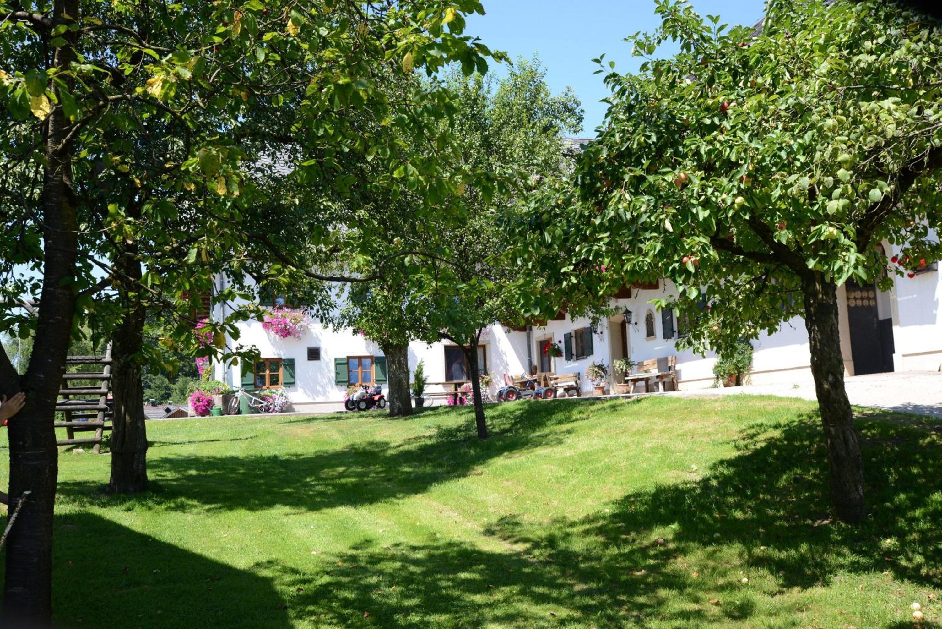 Weinbachbauer - Urlaub am Bauernhof