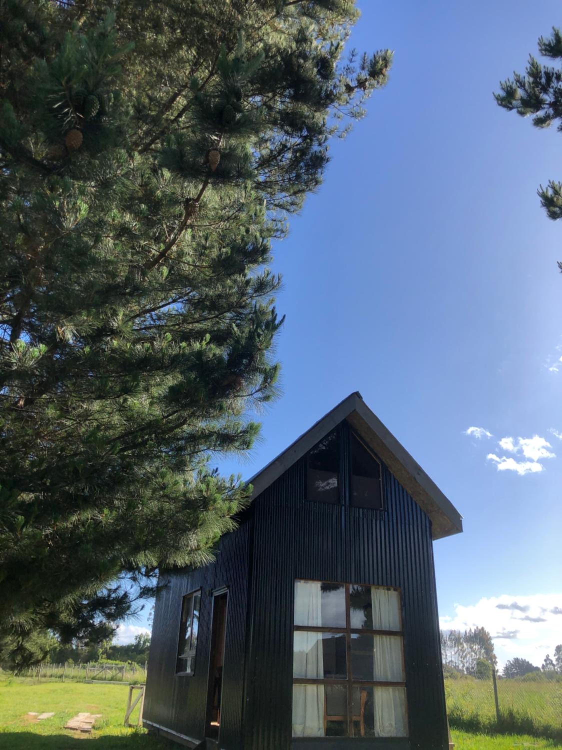 Tiny House, Tiny Black Frutillar