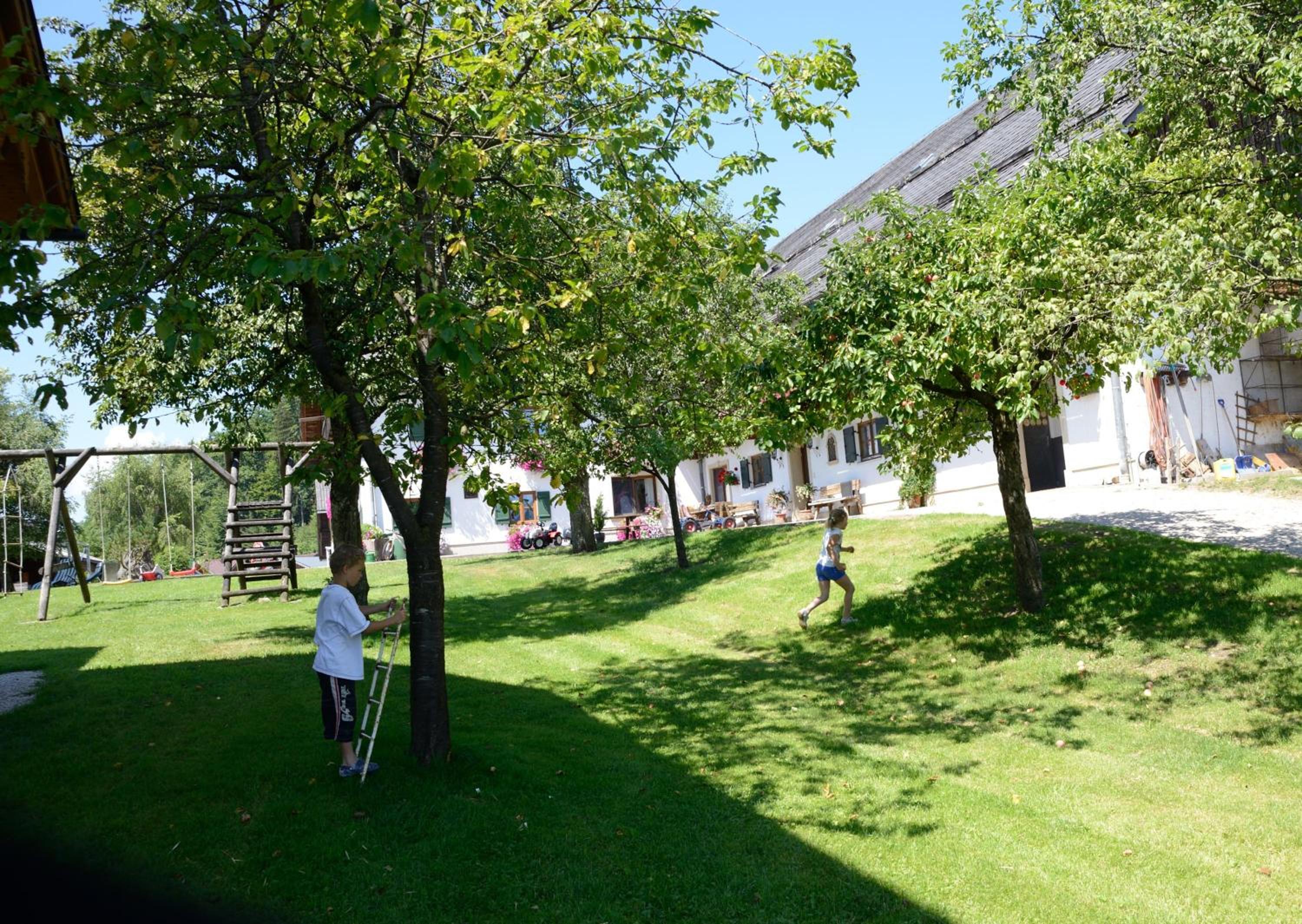 Weinbachbauer - Urlaub am Bauernhof
