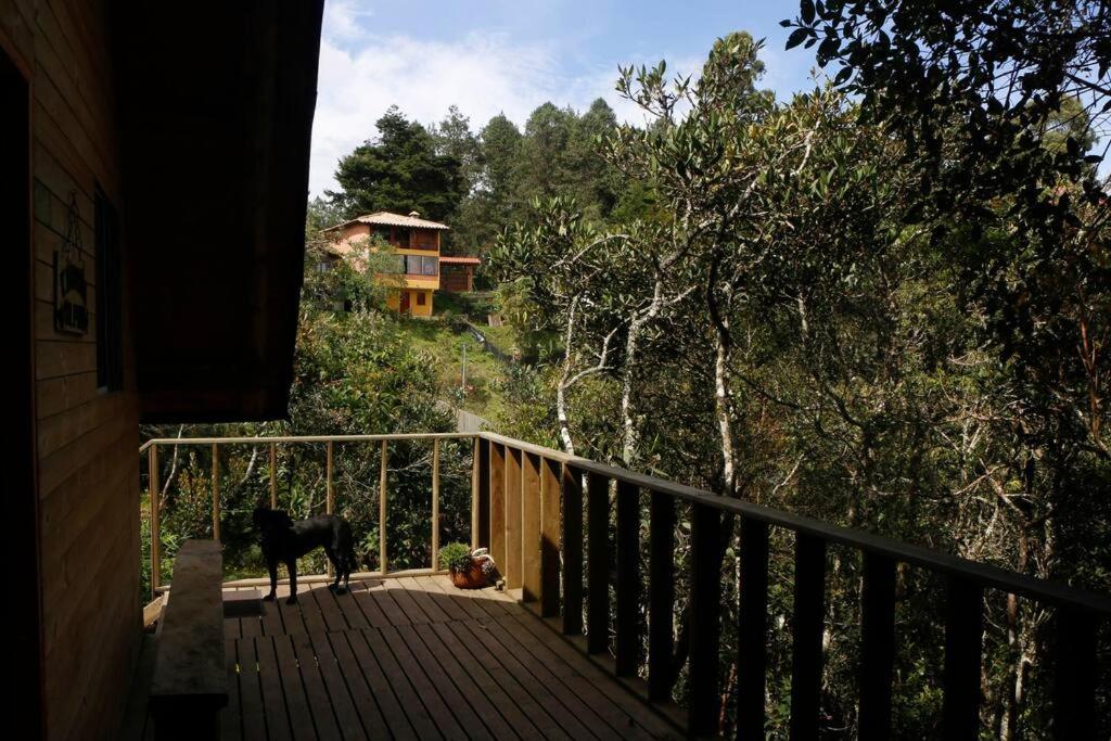 Hermosa cabaña con huerta - Casa verde