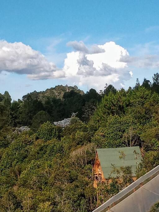 Hermosa cabaña con huerta - Casa verde
