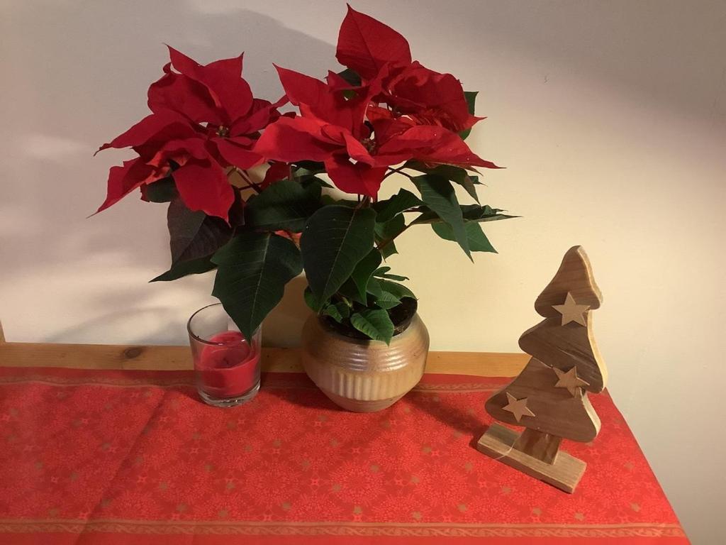 Blumenhaus