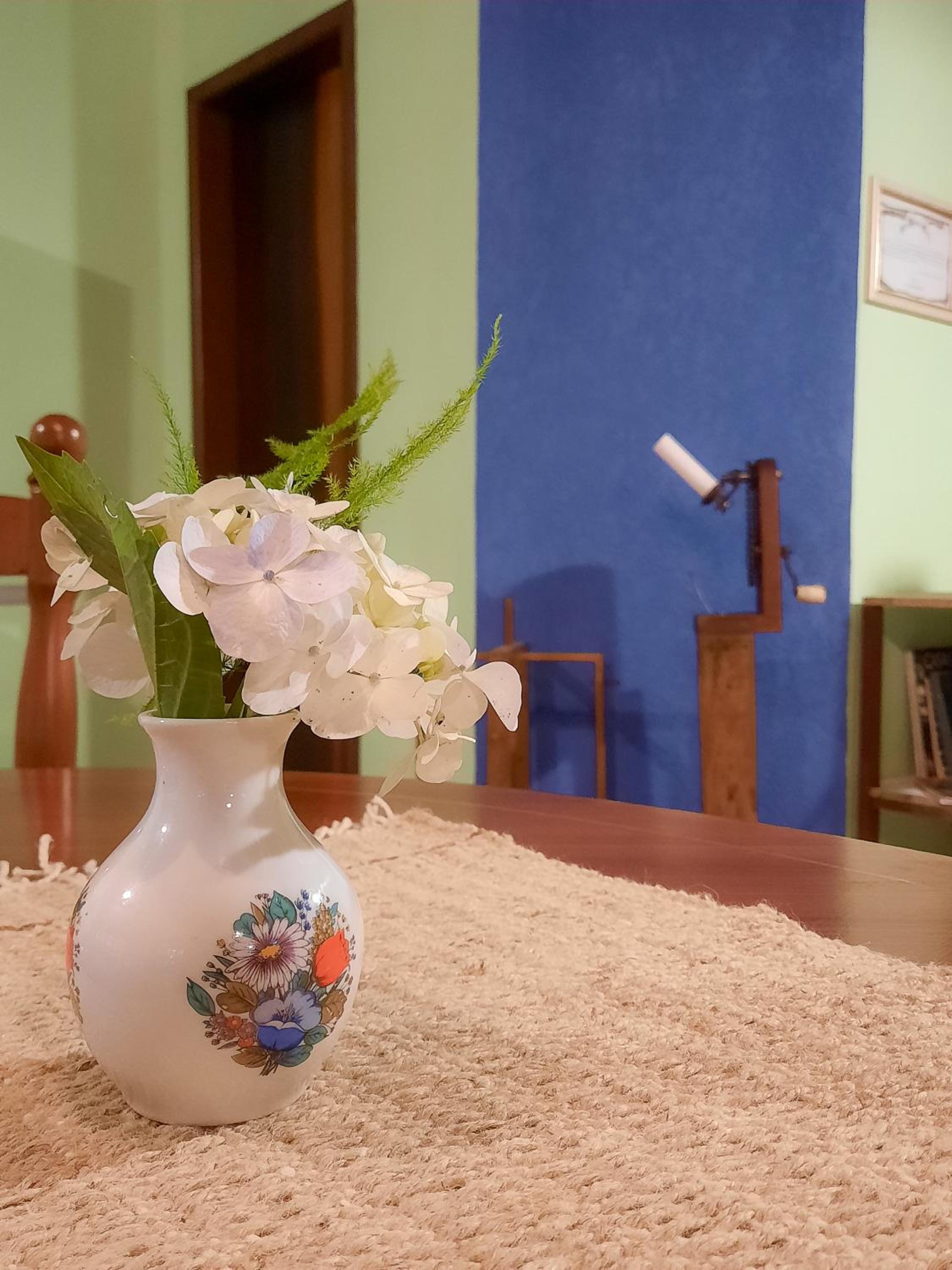 Casa do Tecelão - Refúgio, jardim e tranquilidade