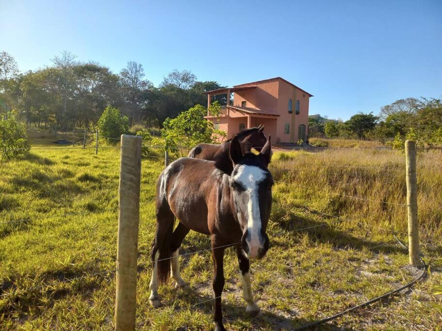 Solar Piri