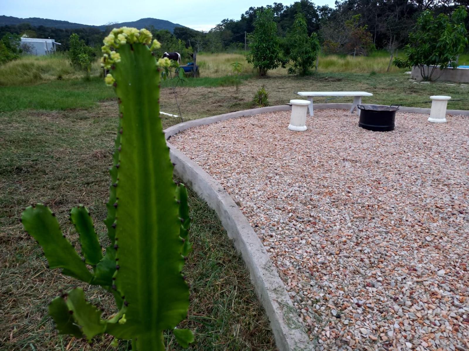 Solar Piri