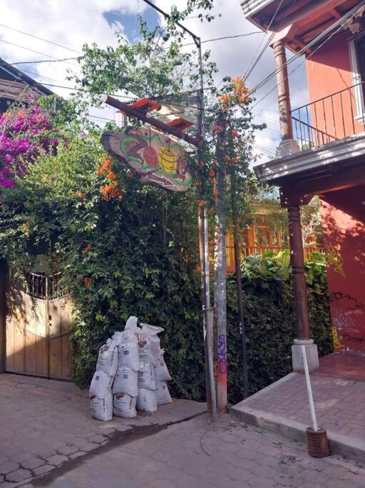 Casa Chuacante 1 - Mi casa es tu casa view 4