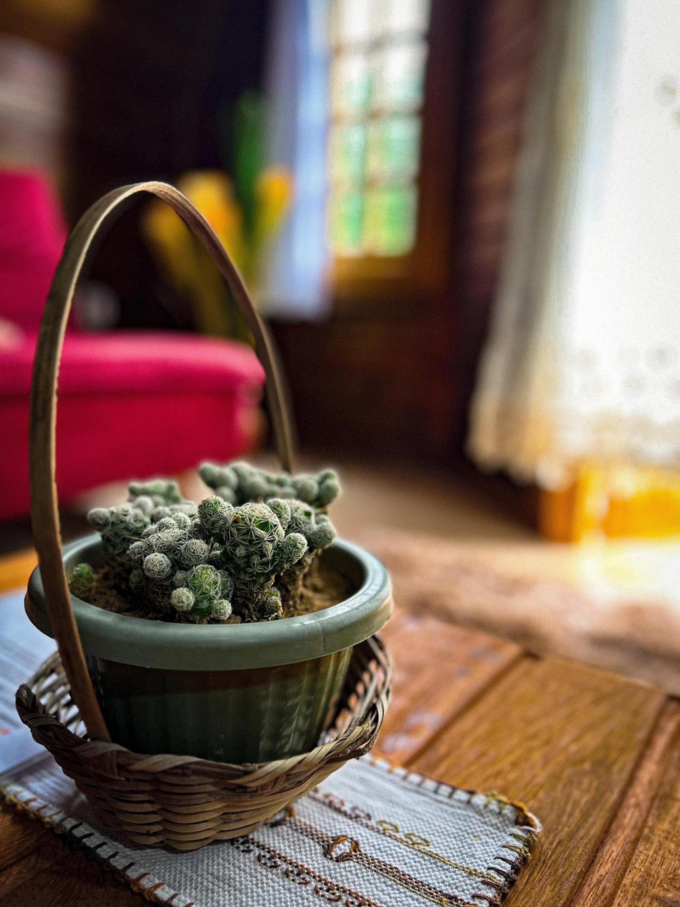 Chalé de Madeira em Vargem Alta