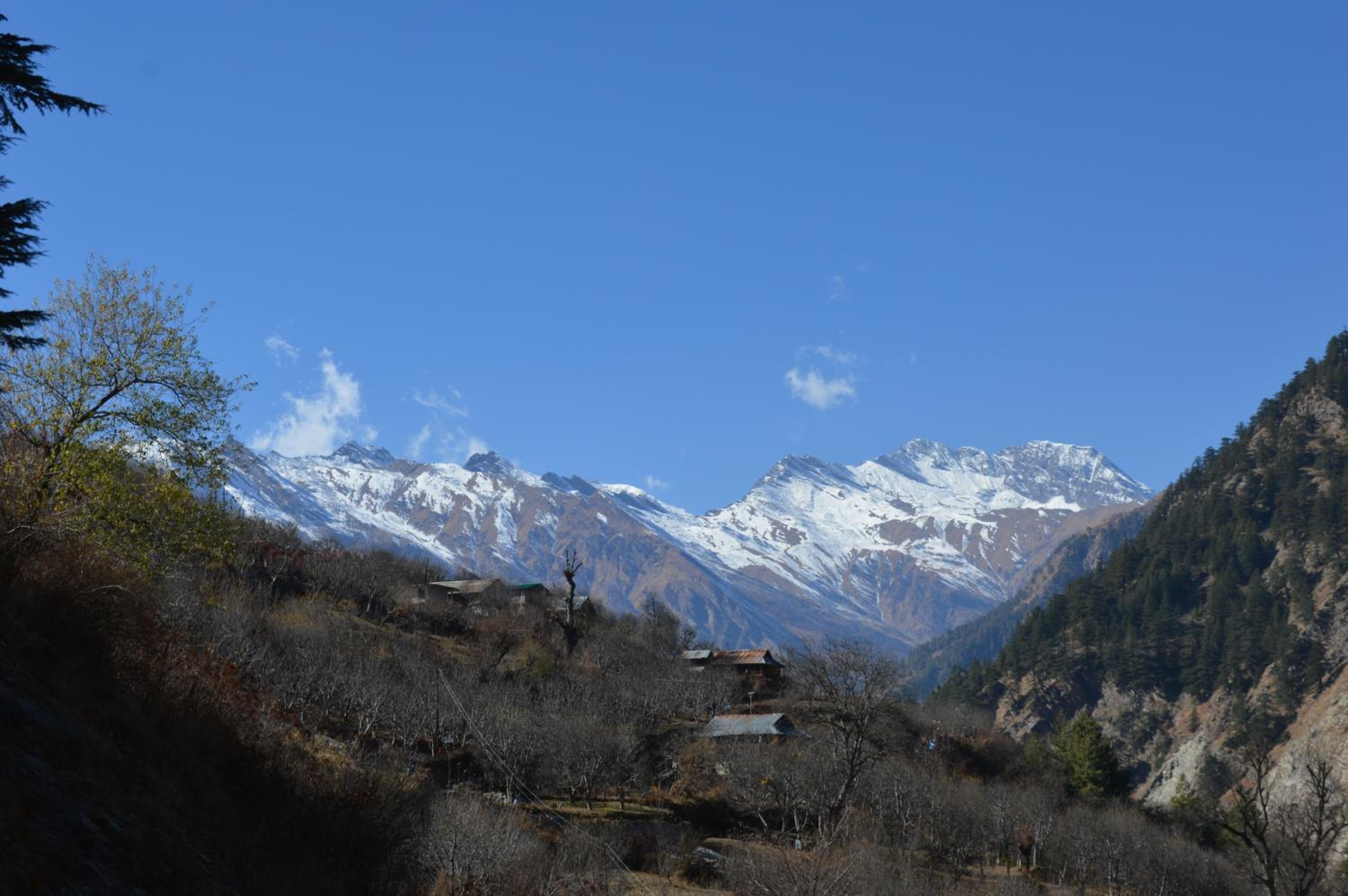 Laxmi Narayan Homestay-Harshil