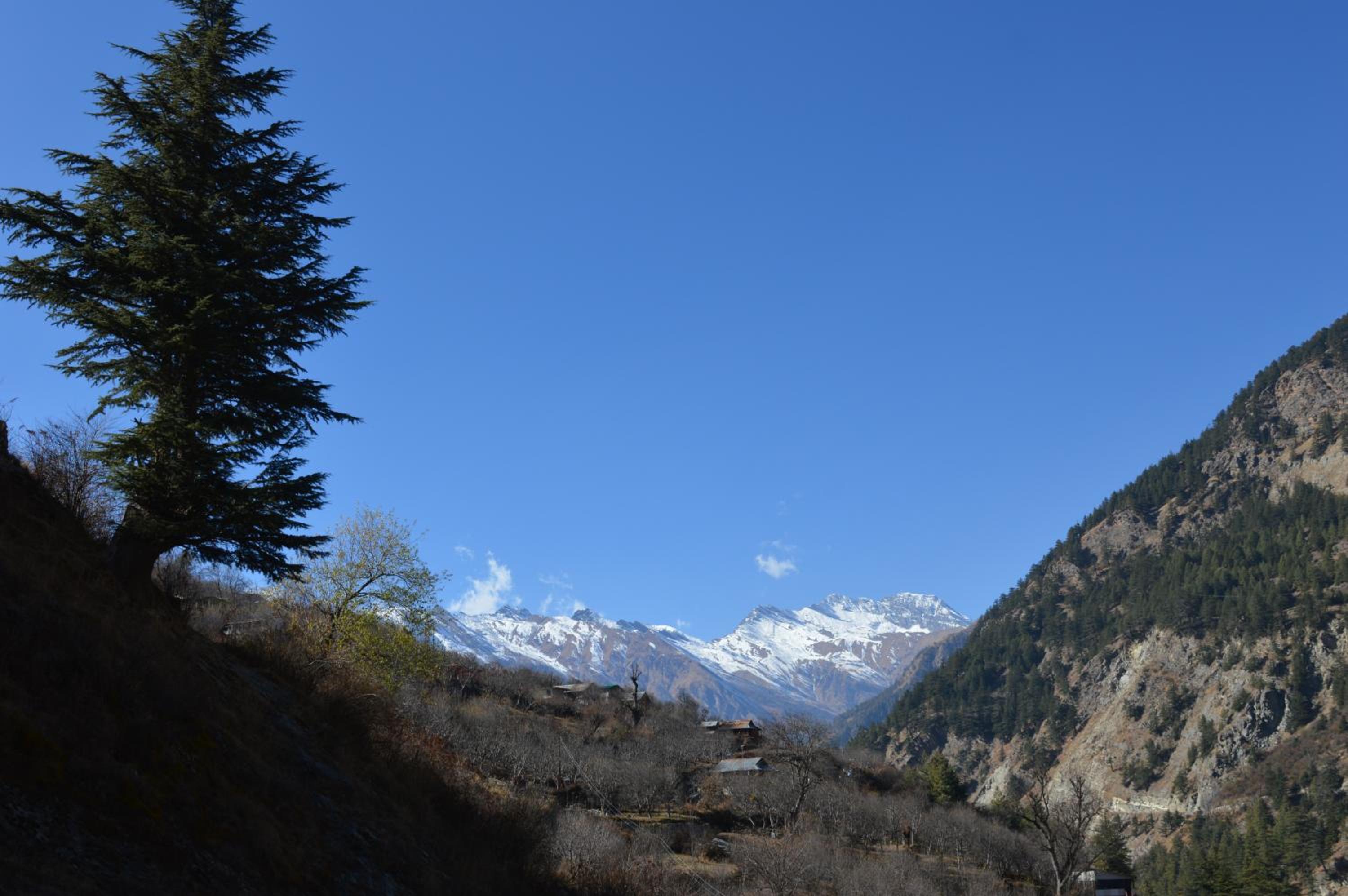 Laxmi Narayan Homestay-Harshil