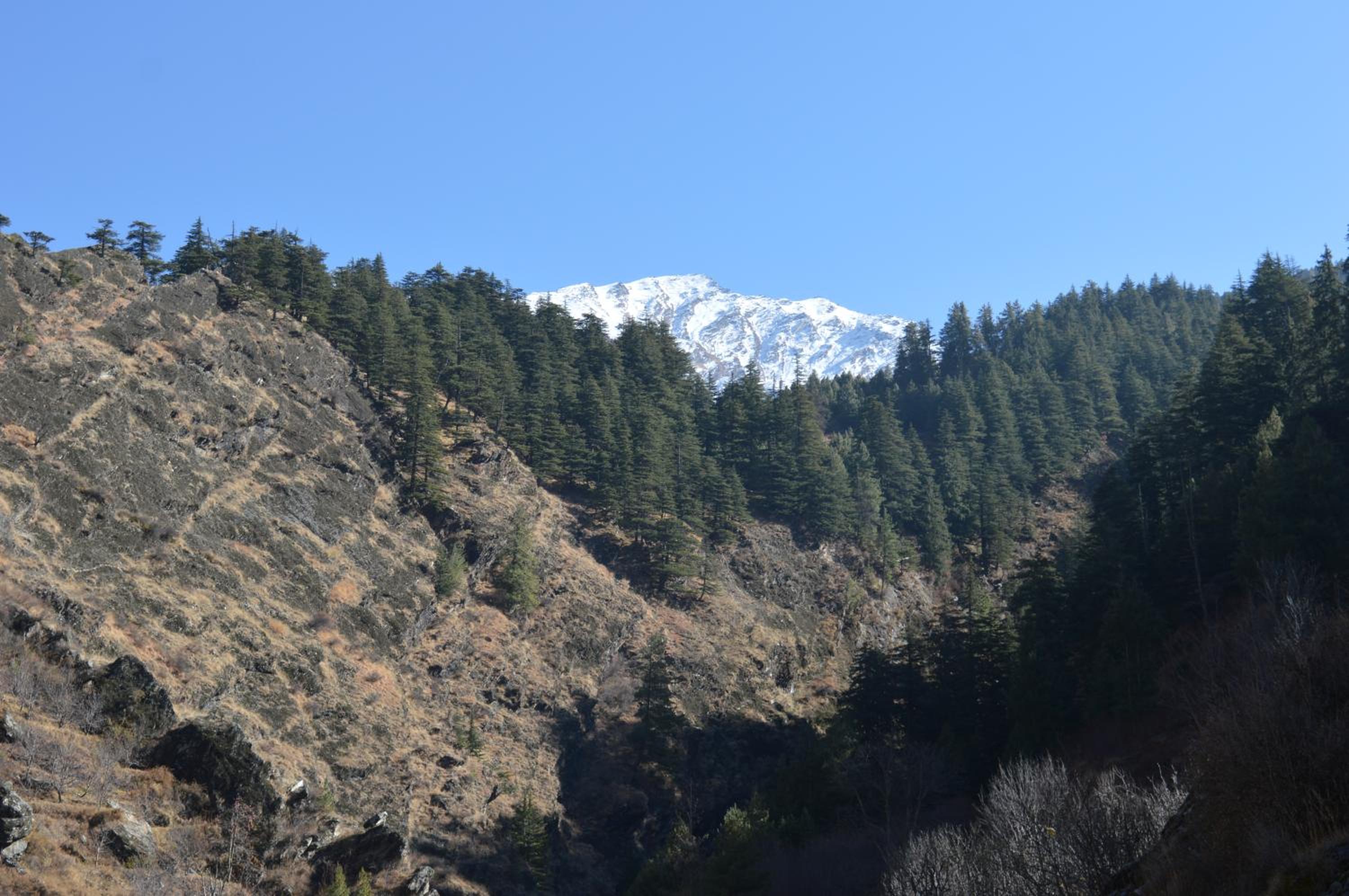 Laxmi Narayan Homestay-Harshil