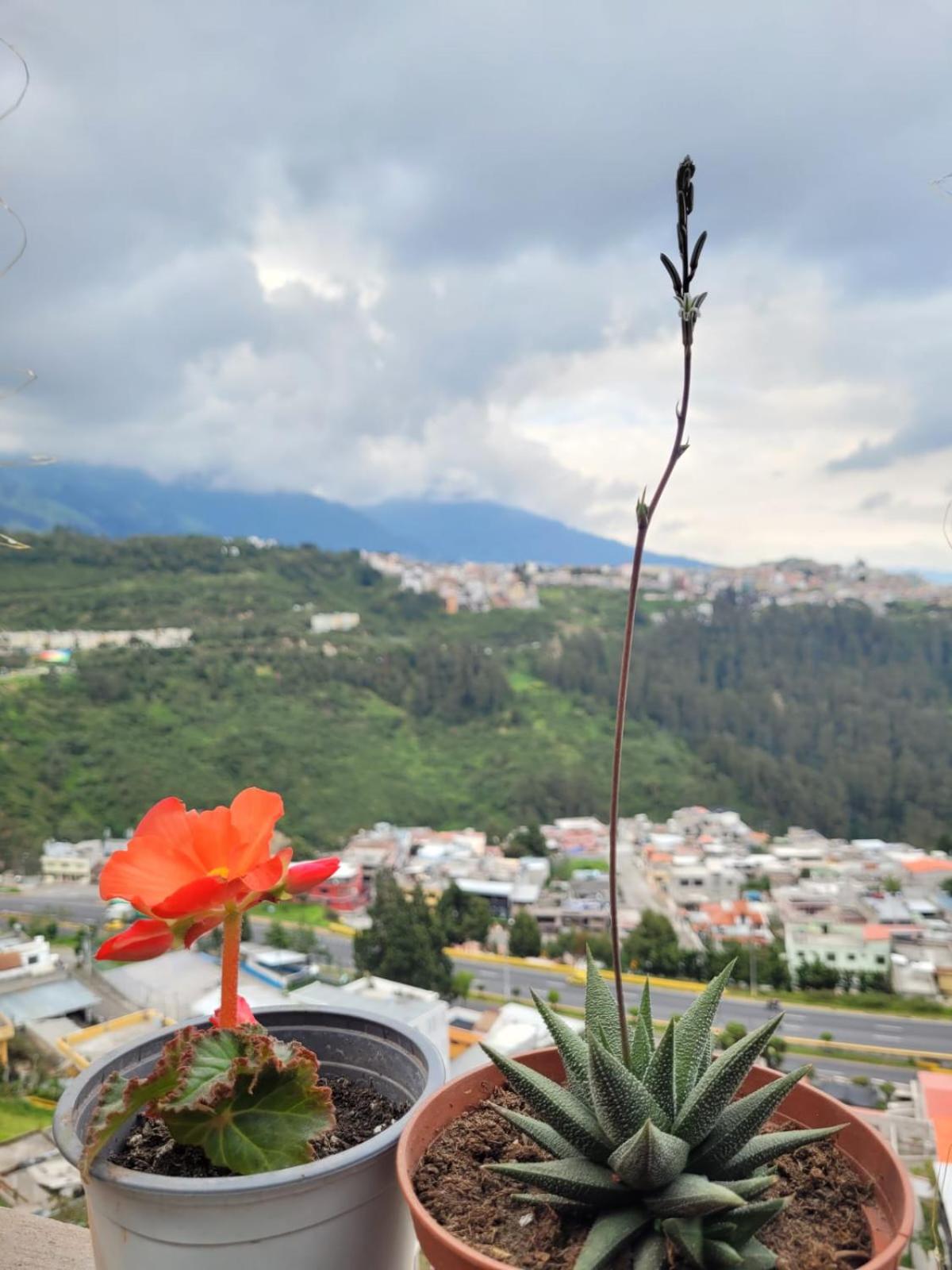 Casa Cuscungo Family Experience