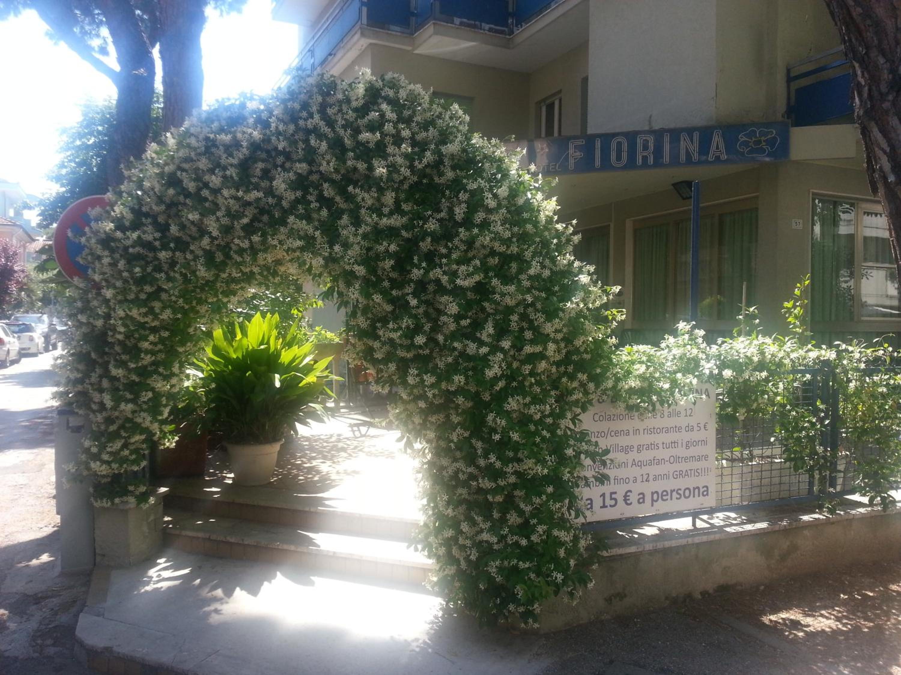 Fiorina Bed&Breakfast - Colazione fino a mezzogiorno - Beach Village gratuito - Aquafan 25e - Oltremare 22e view 3