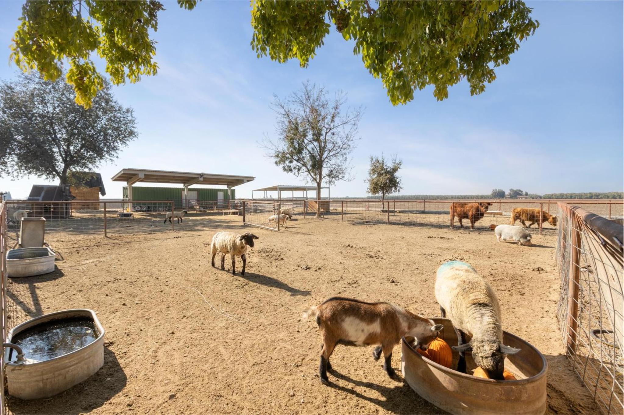 other
