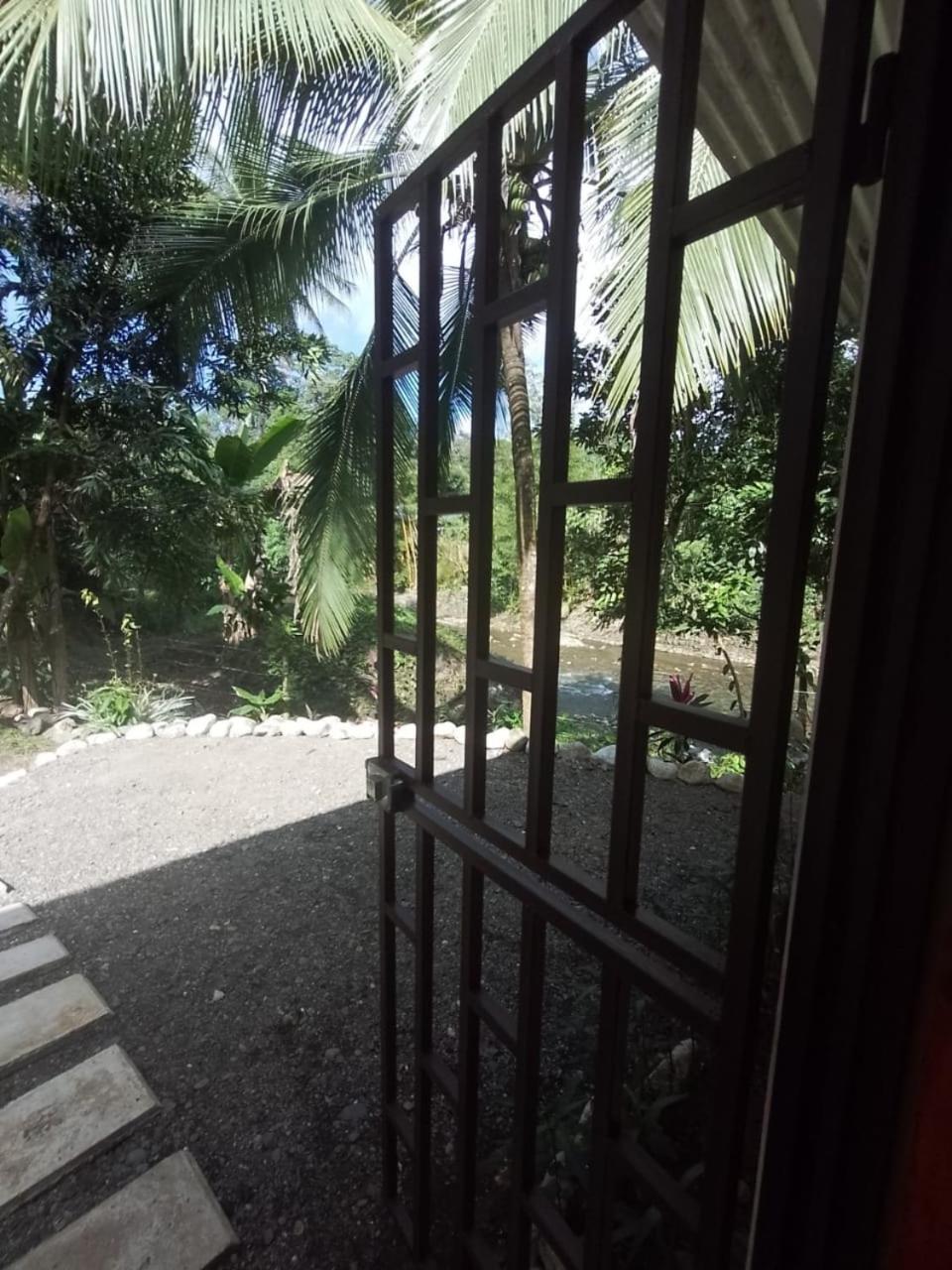 Casa River