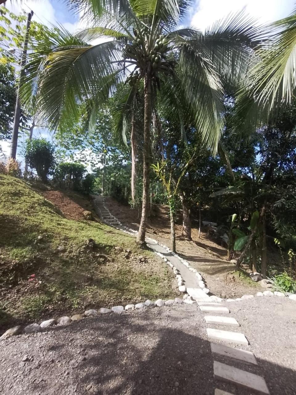 Casa River