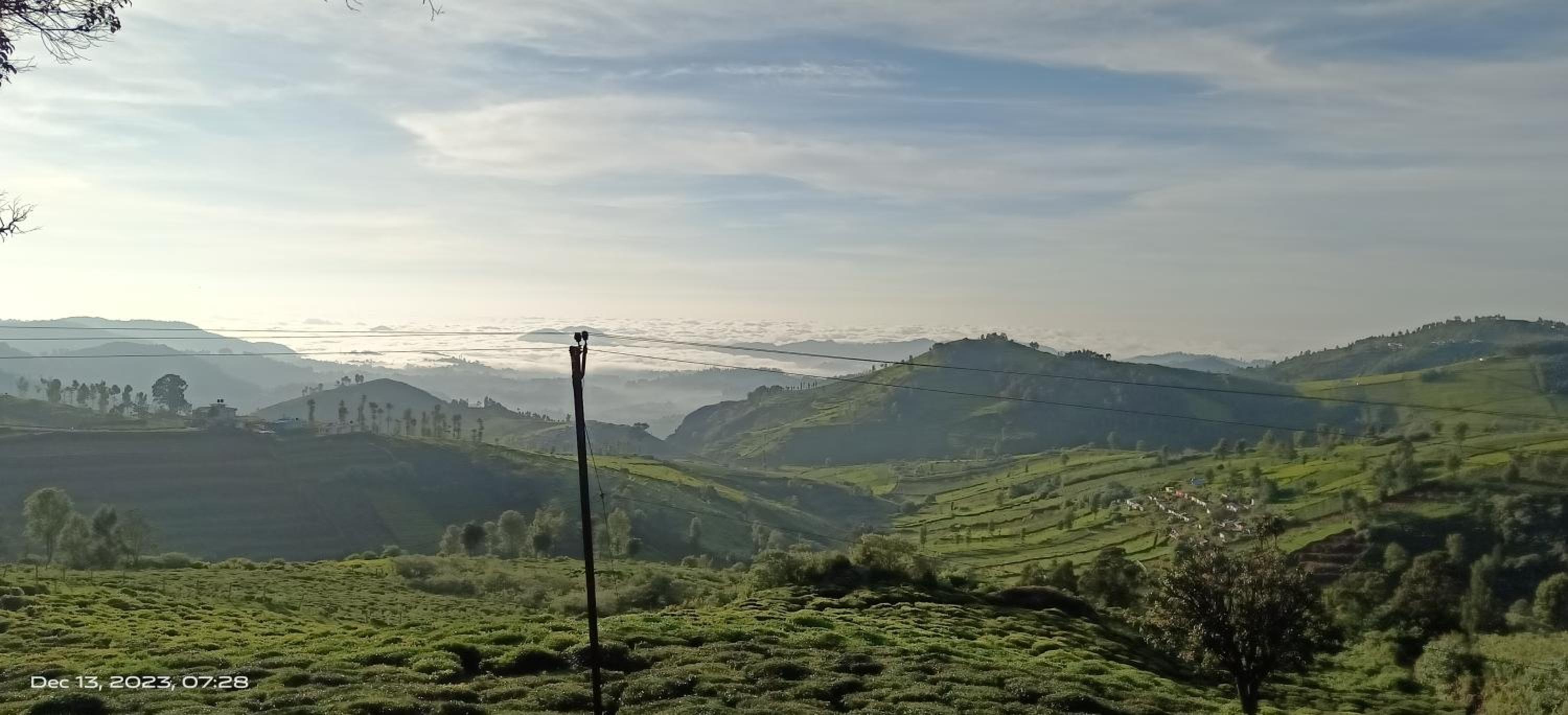 Jungle Beat view 4