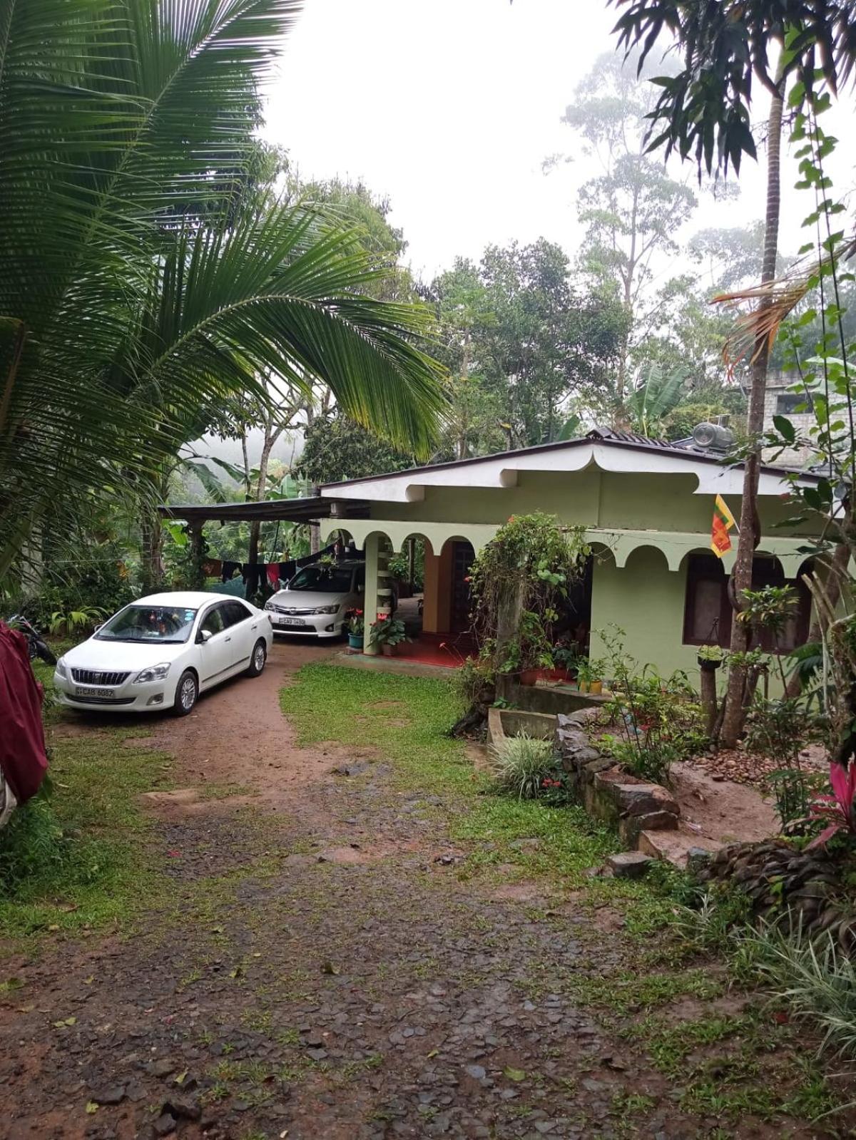 Nineart Resort