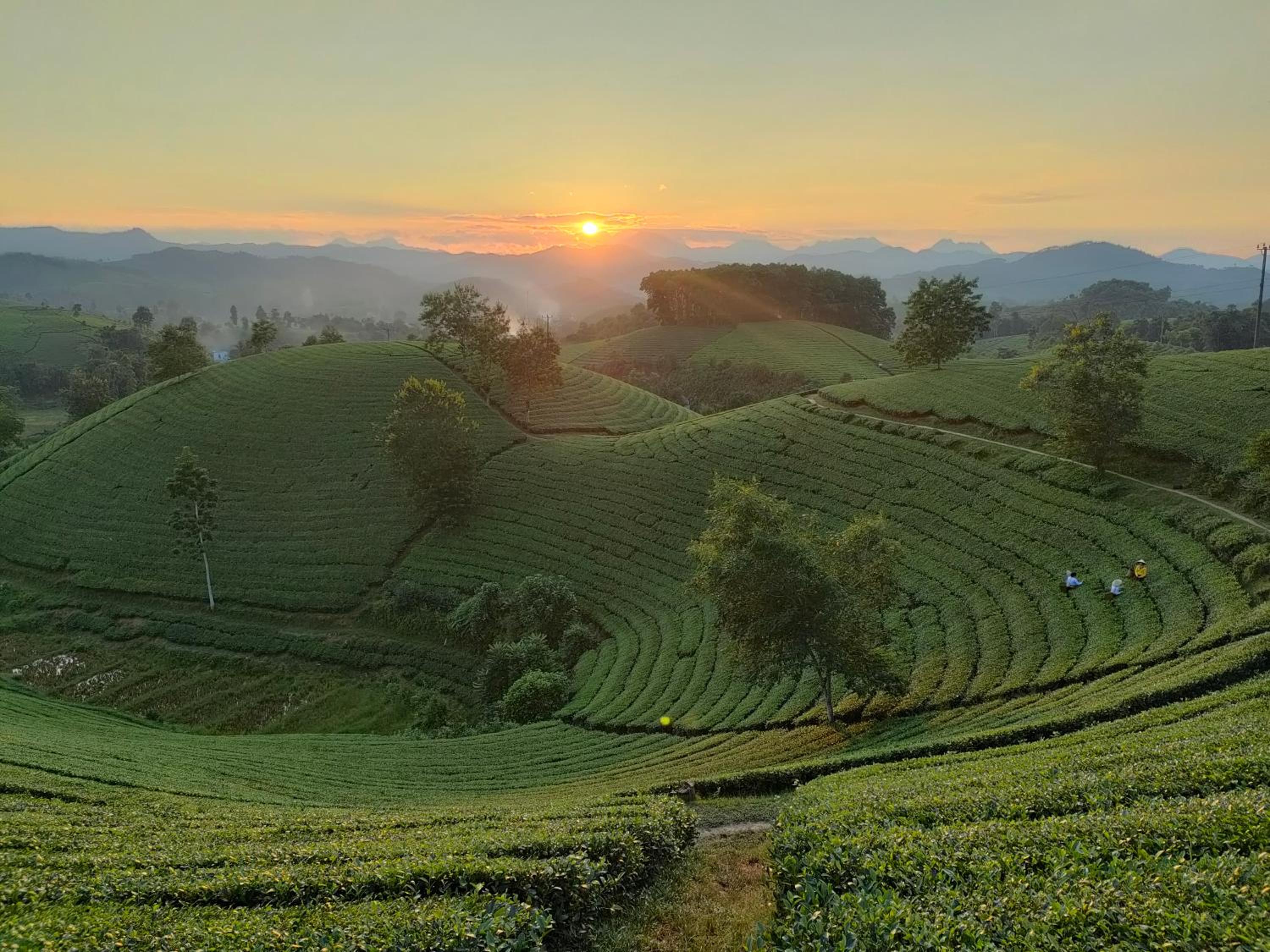 Xóm măng 2 -xã Long Cốc-huyện Tân Sơn-Tỉnh Phú Thọ view 3