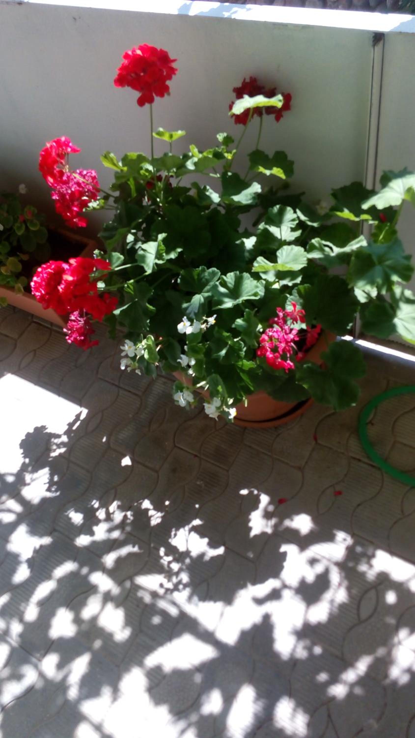 Photo 35