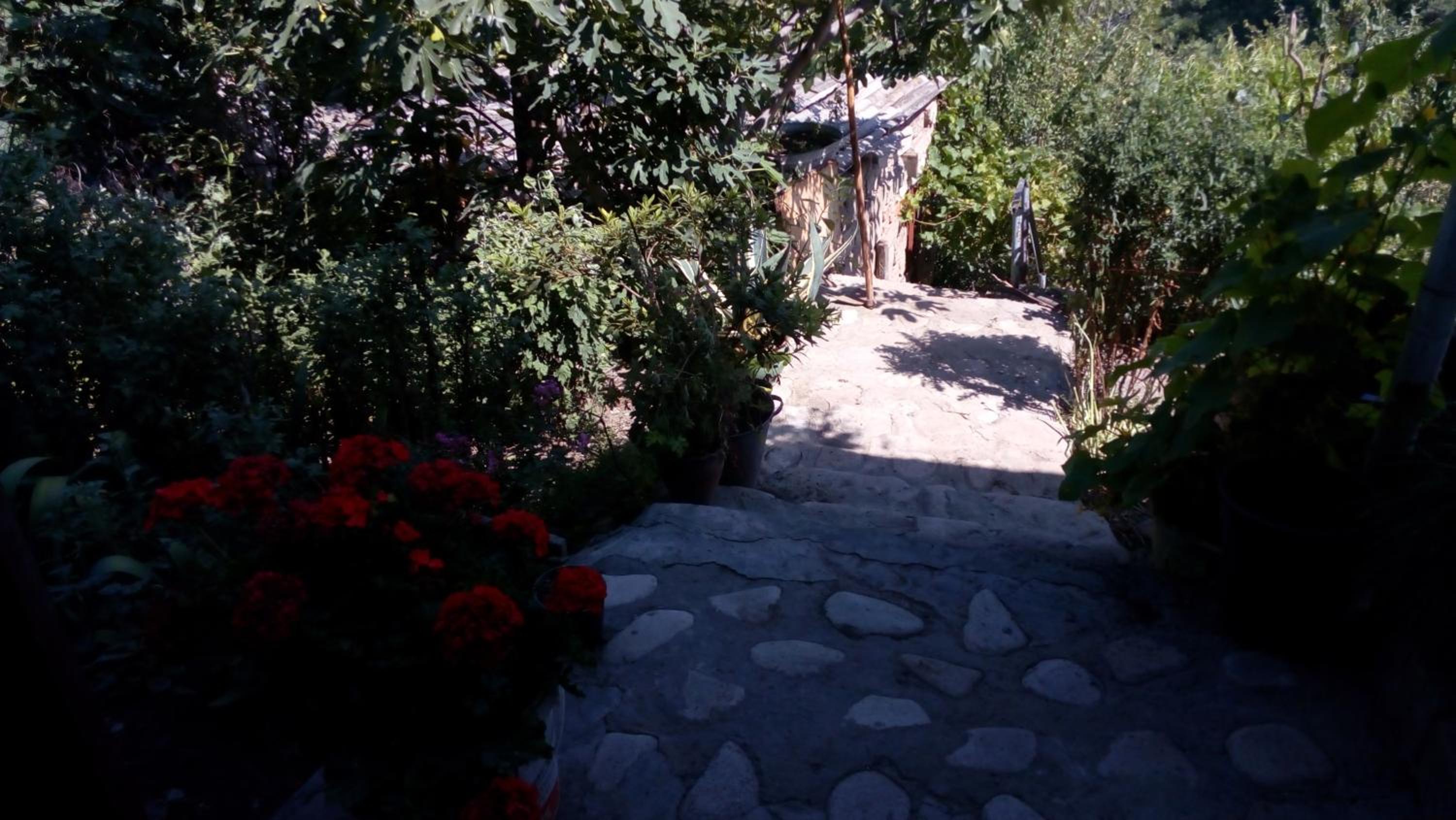 Photo 34