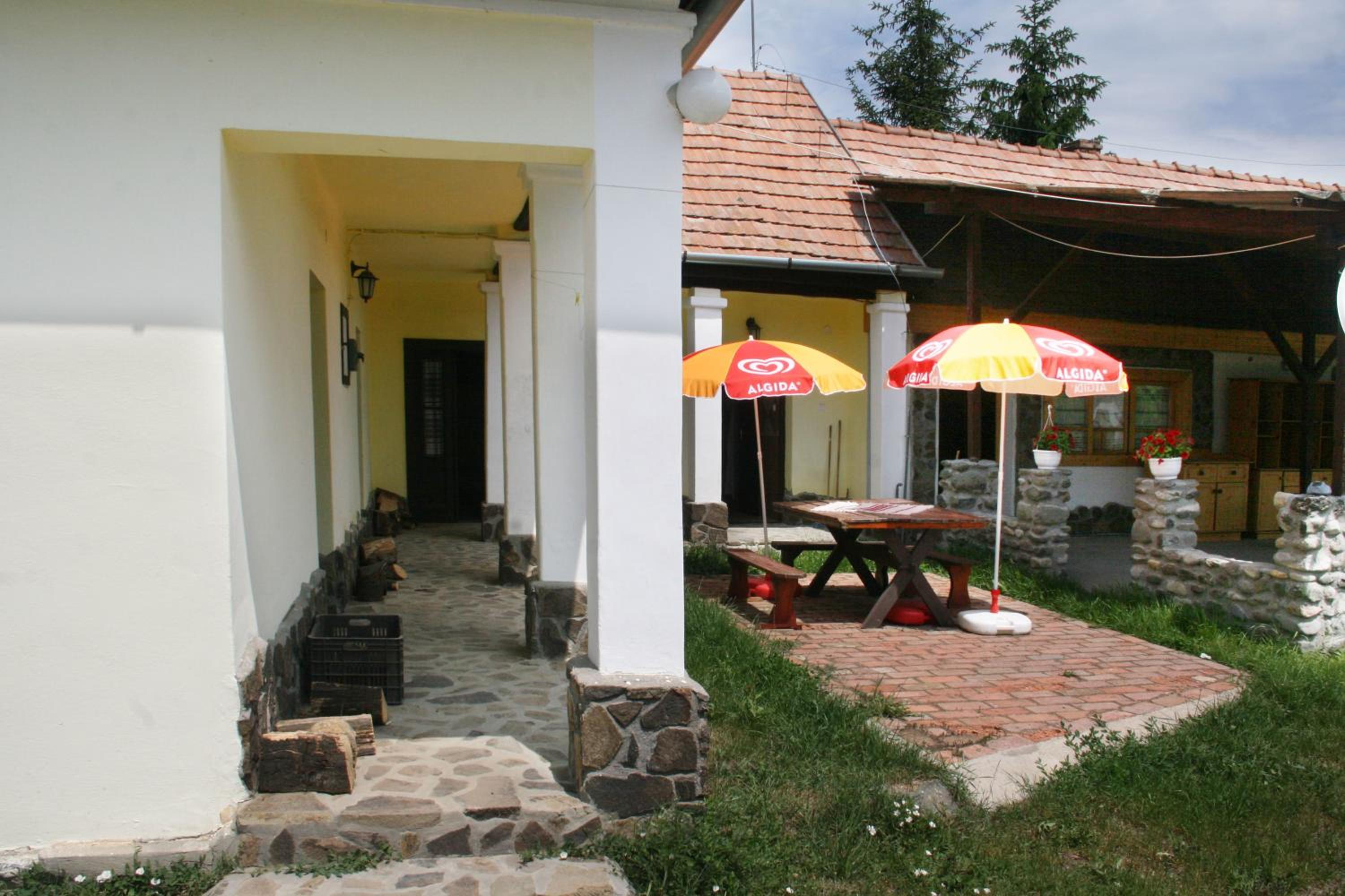 Photo 7