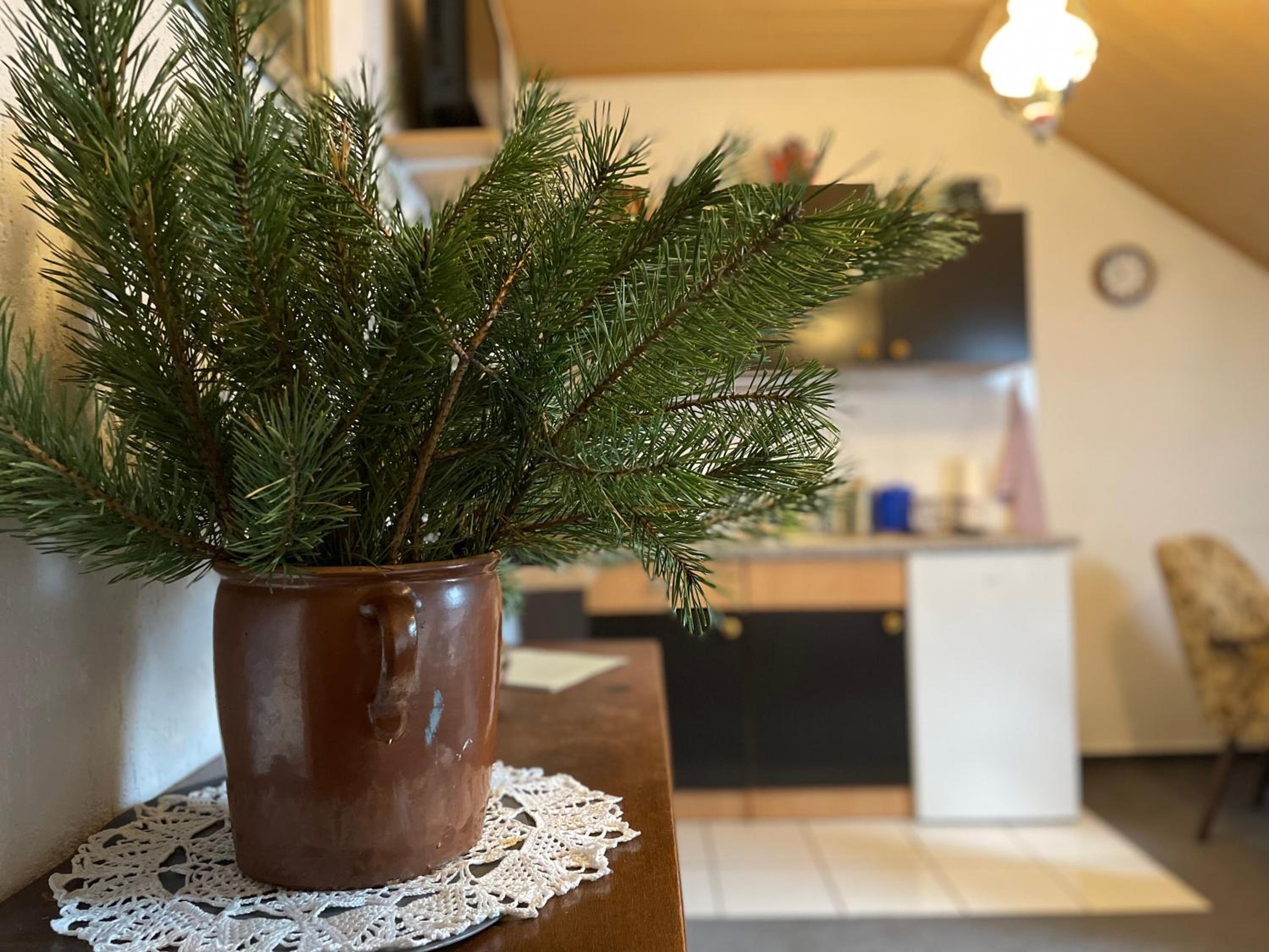 Pension Grasse Hofladen Cafe GenießerImbiss Kehrigk