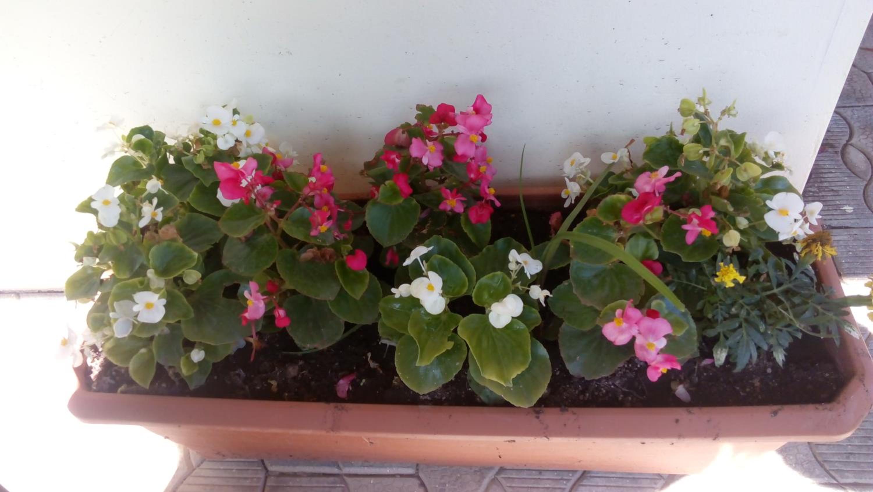 Photo 33