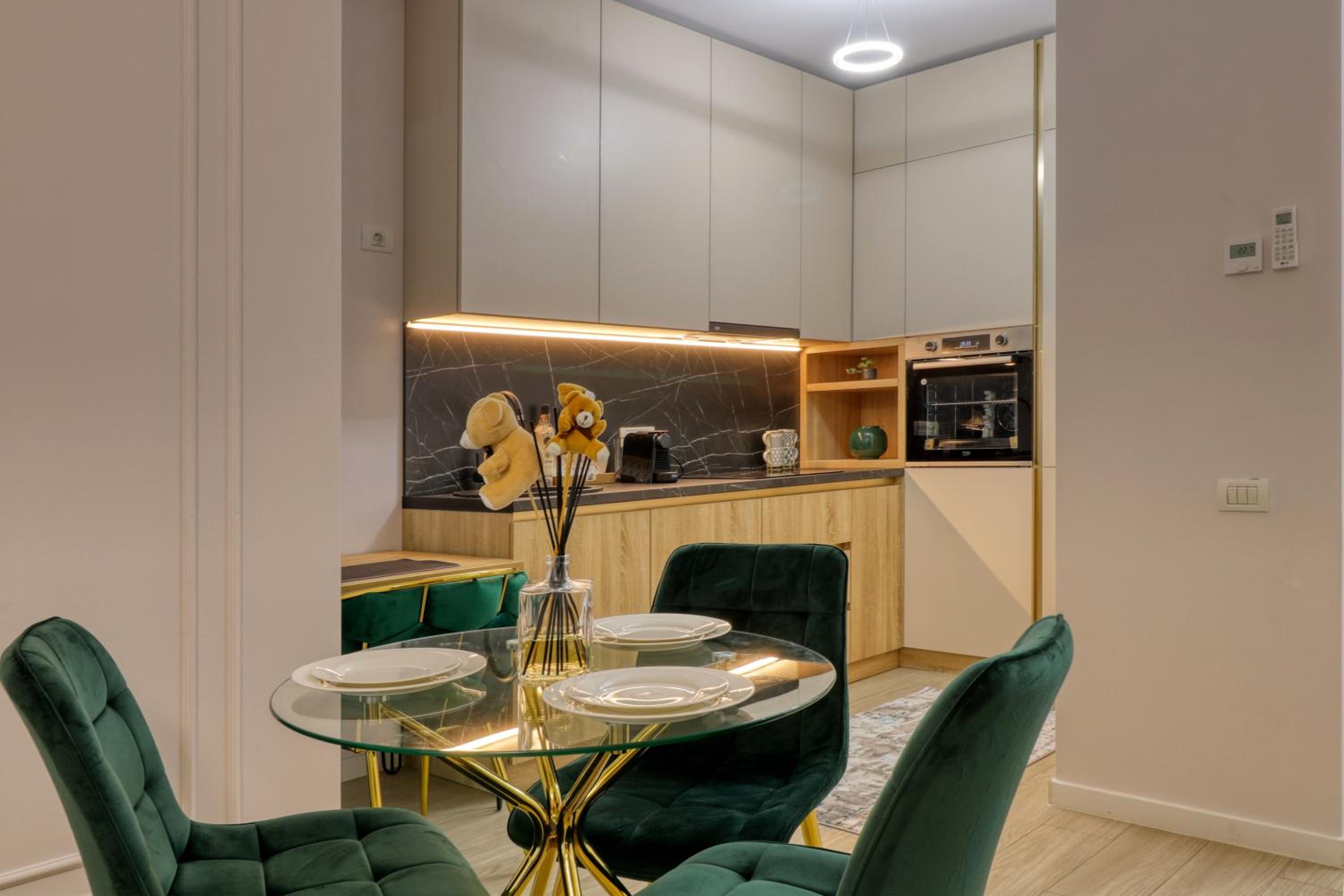 Herastrau Luxury Studios view 3