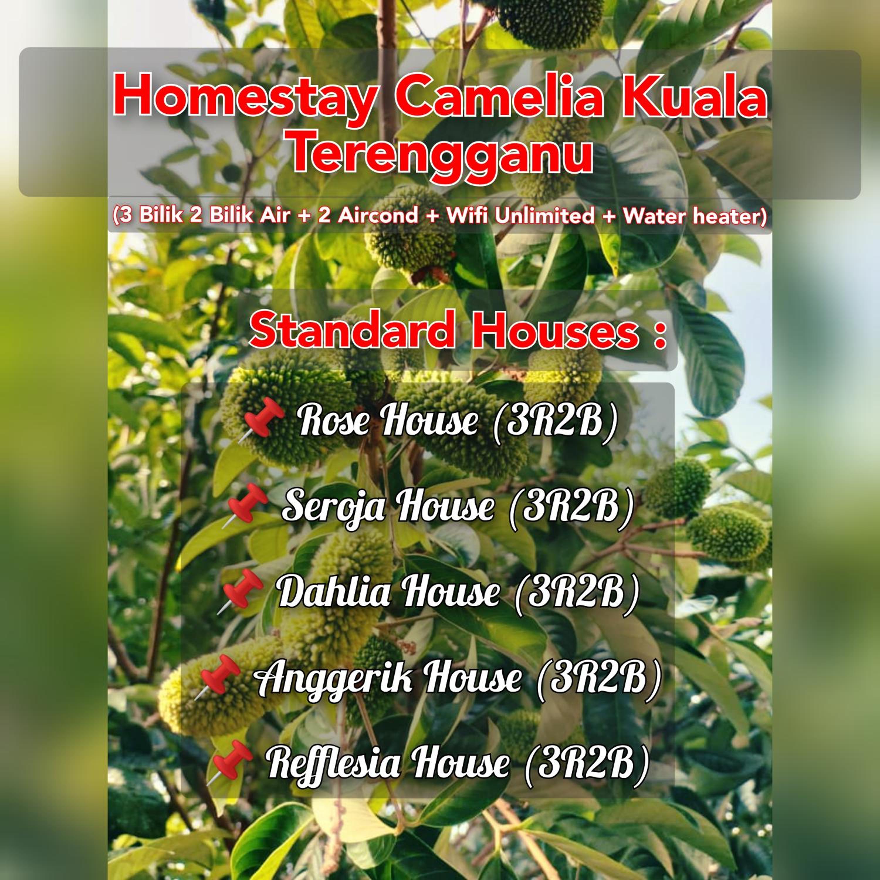 Homestay Camelia Kuala Terengganu - Near Drawbridge, Pasar Payang, KTCC Mall, Hospital HSNZ and Batu Buruk Beach Area view 3