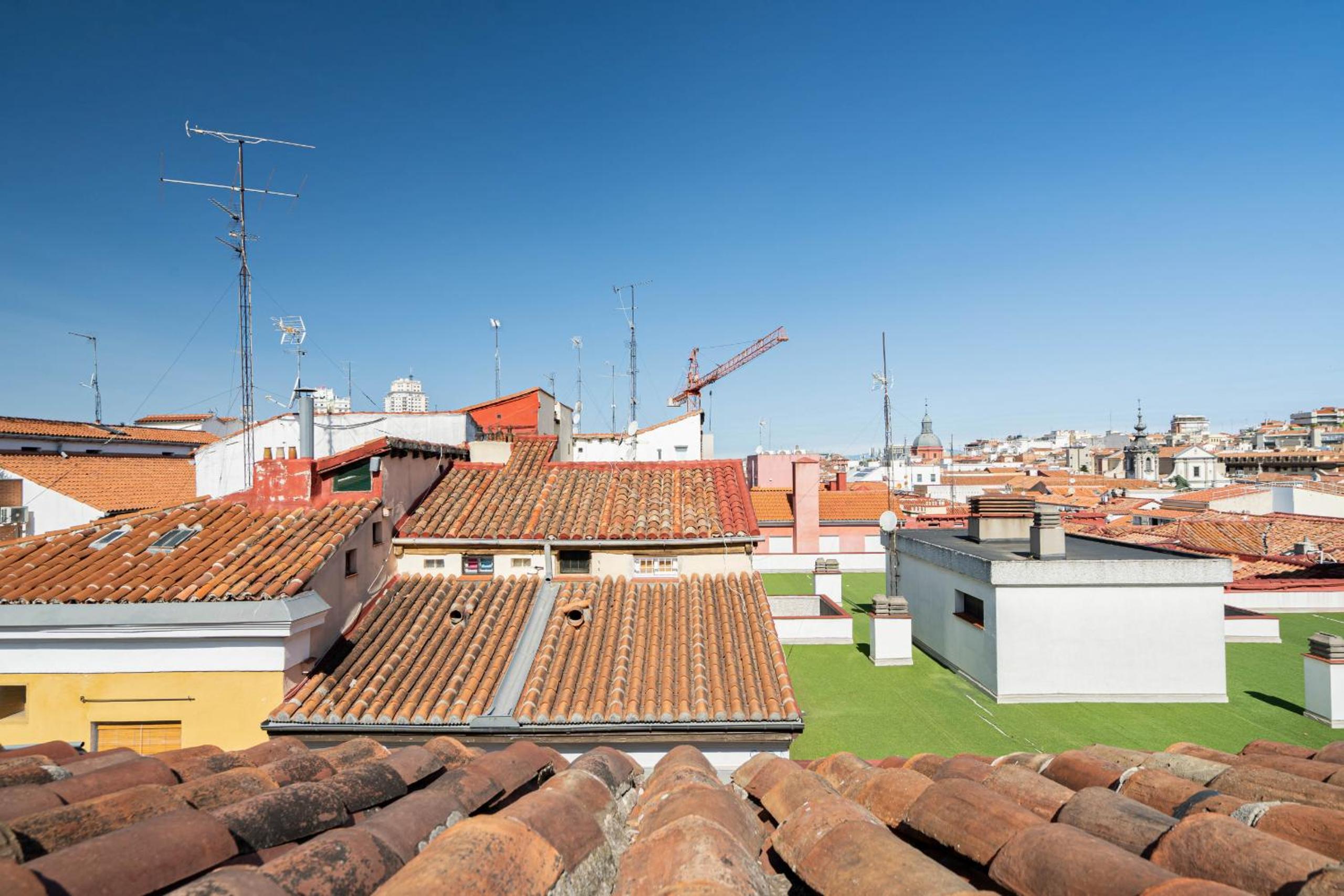 roof