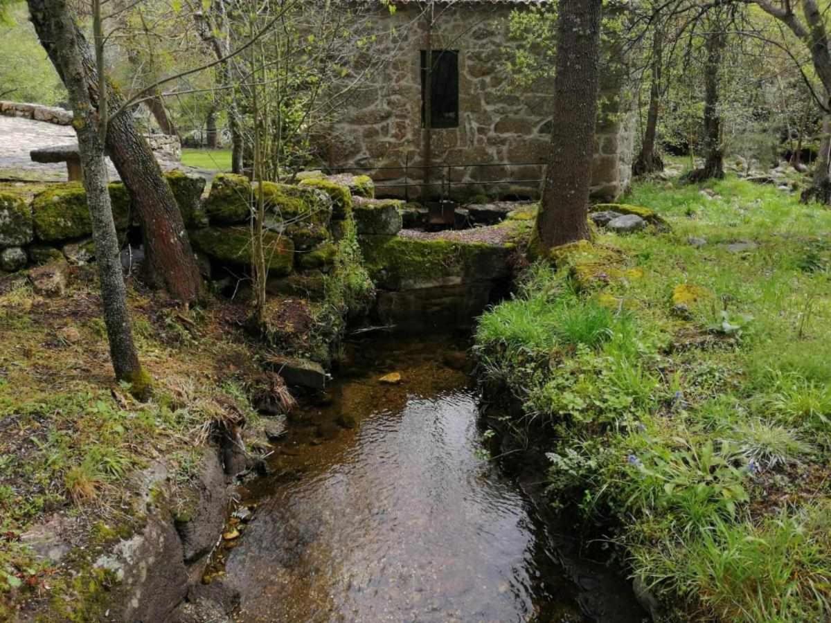 Quinta Do Moinho Turismo de Natureza
