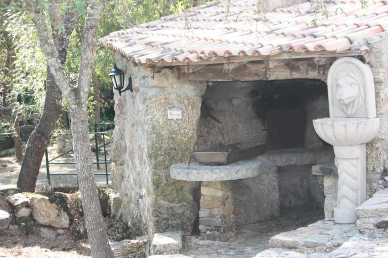Quinta Do Moinho Turismo de Natureza