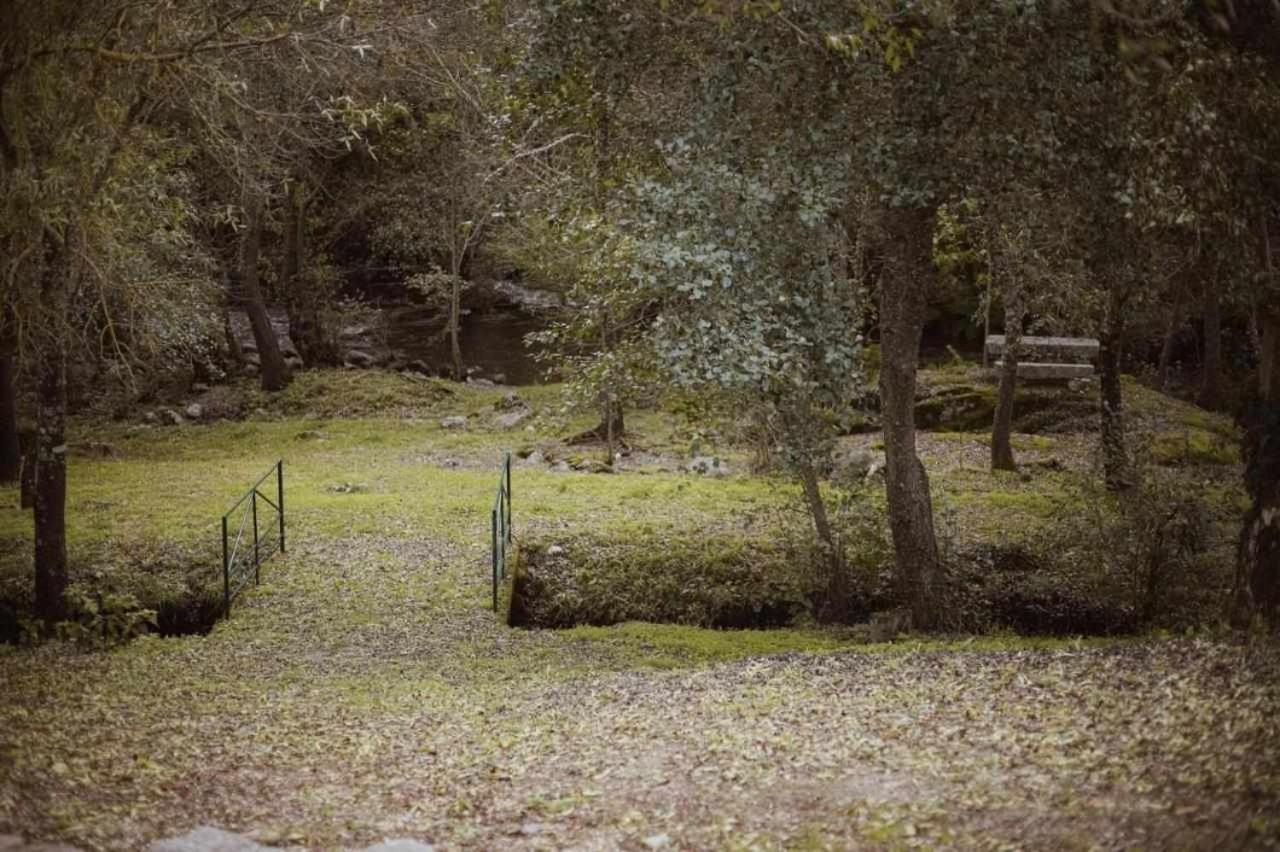Quinta Do Moinho Turismo de Natureza
