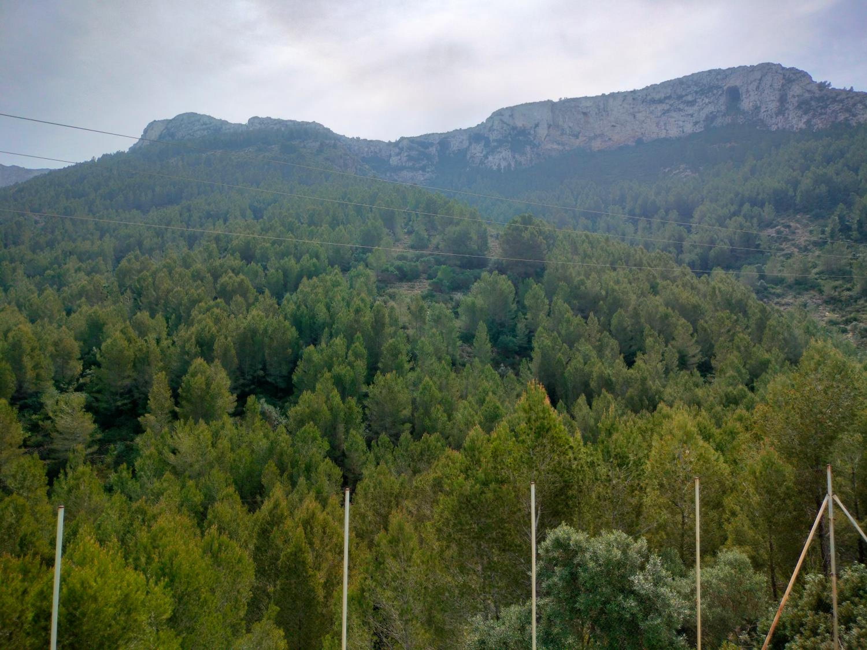Casa Montgó
