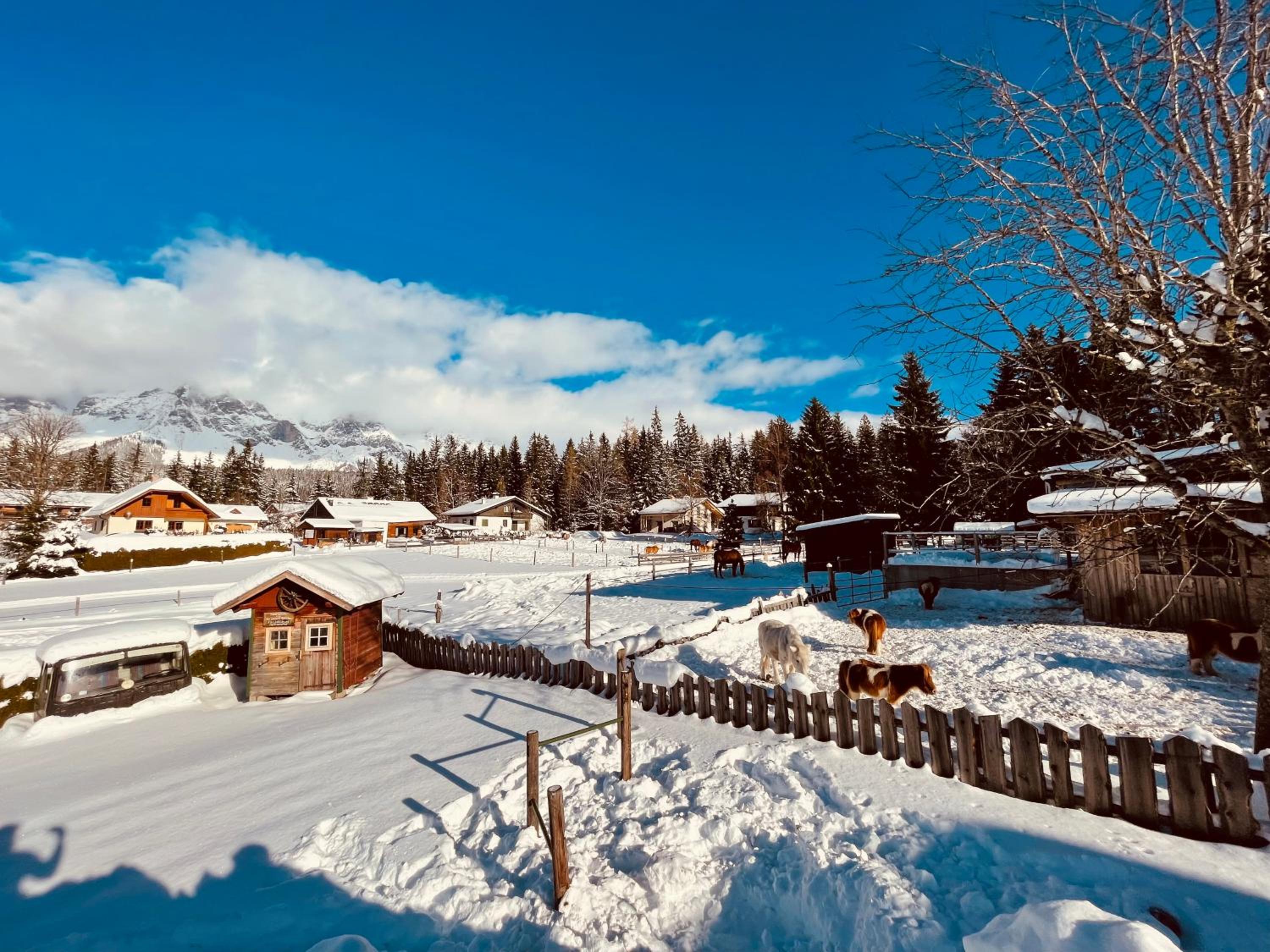Pension Vorberghof- Bauernhofurlaub