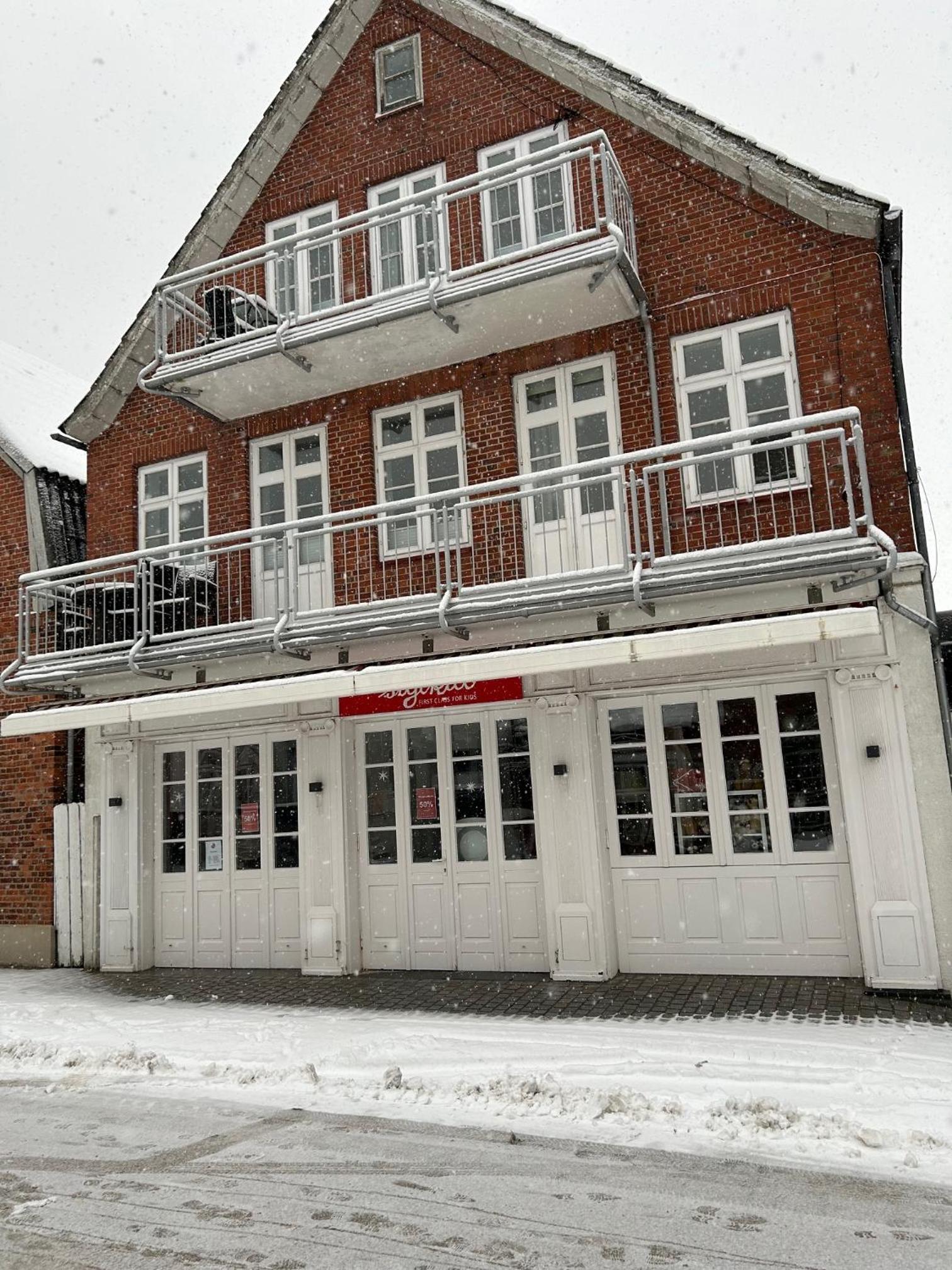 Kegelrobbe