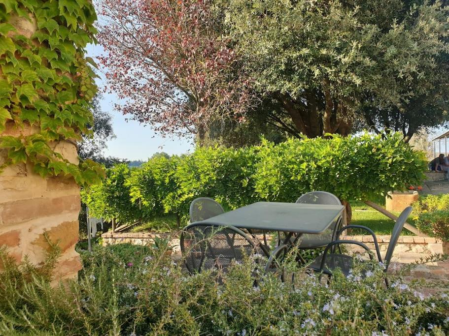La casa dei nonni tra Crete Senesi e Val D'Orcia view 3
